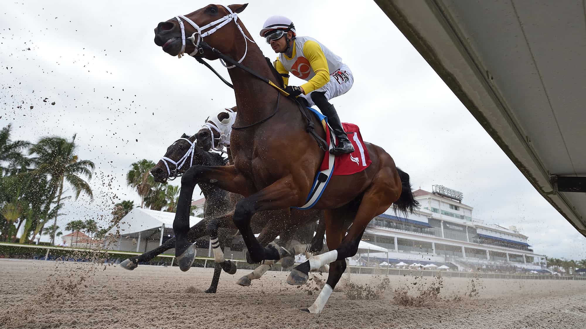 Skippylongstocking-first-turn