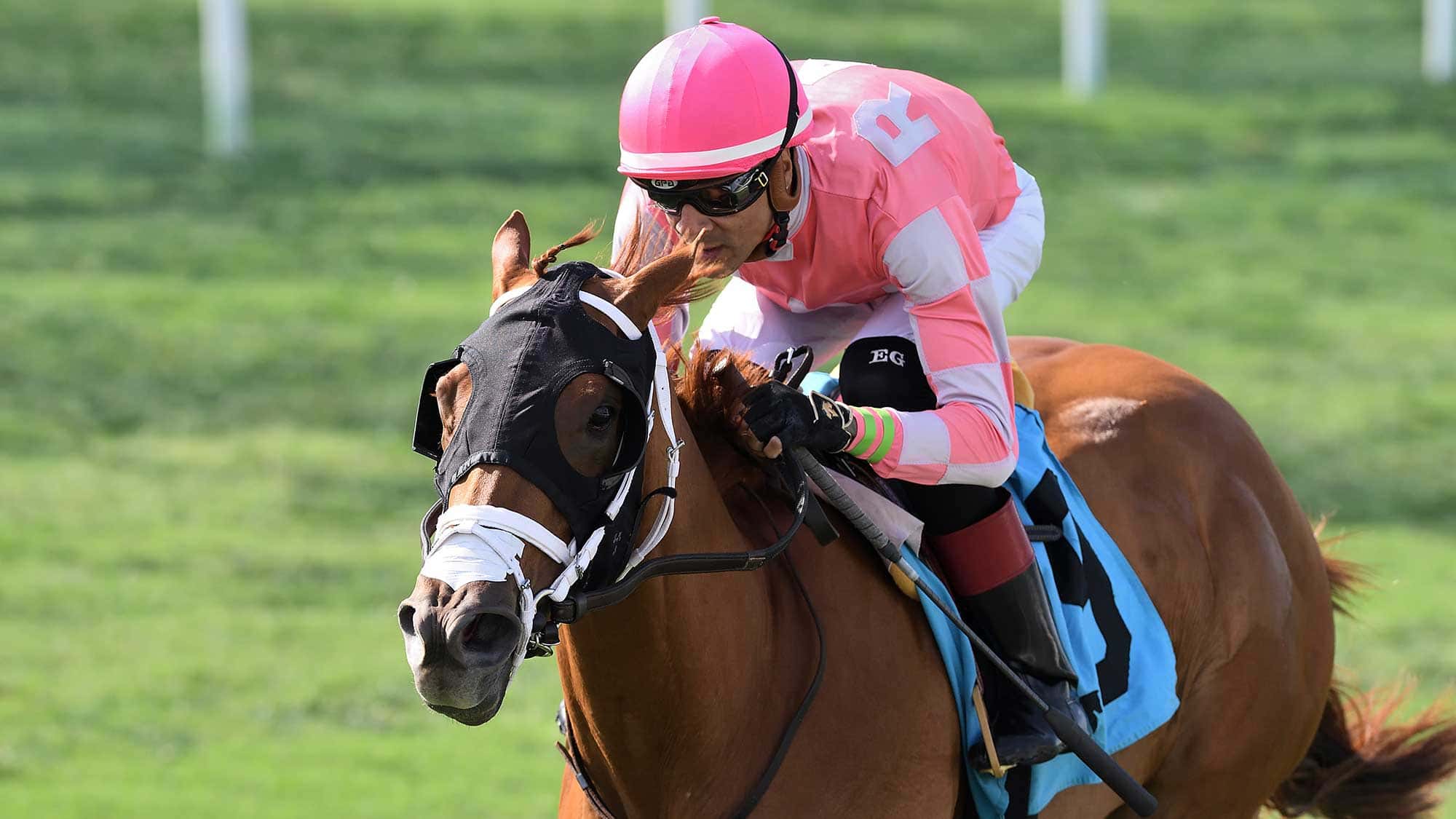 Crimson-Advocate-the-Royal-Palm-Juvenile-Fillies