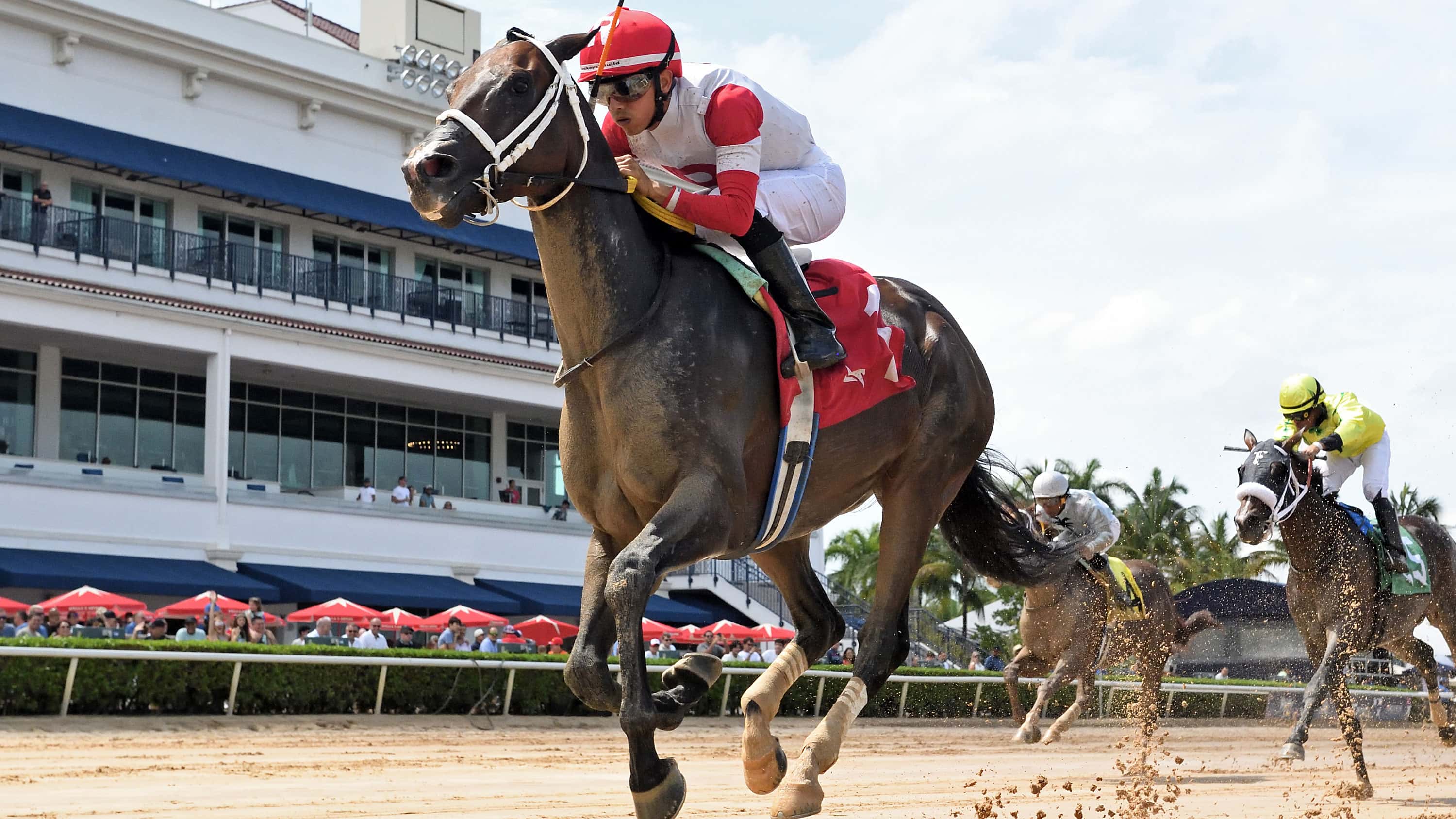 Implementation Checks One Off Bucket List in Smile Sprint