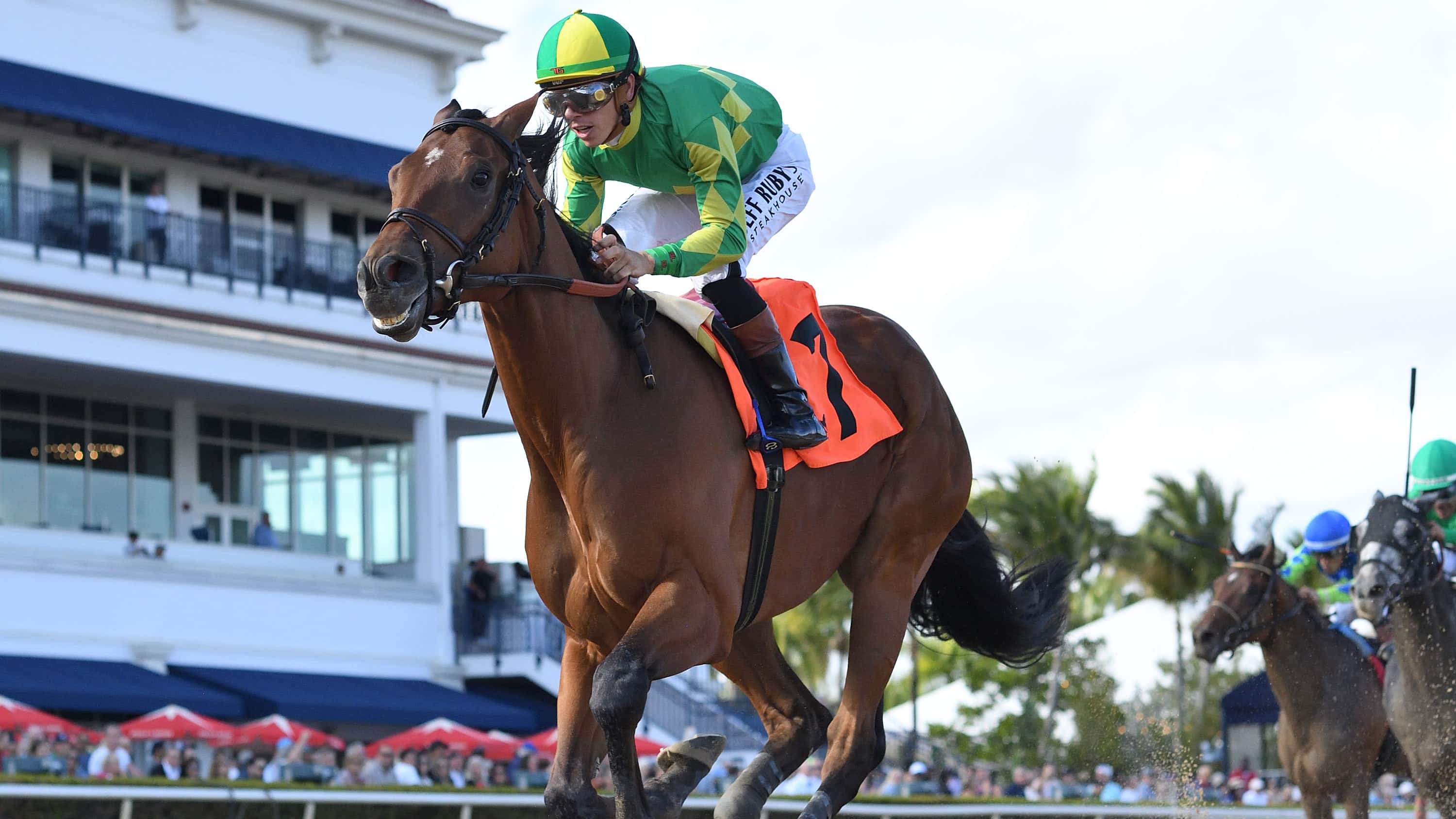 First Call Bob Impresses in Sunday Maiden Triumph