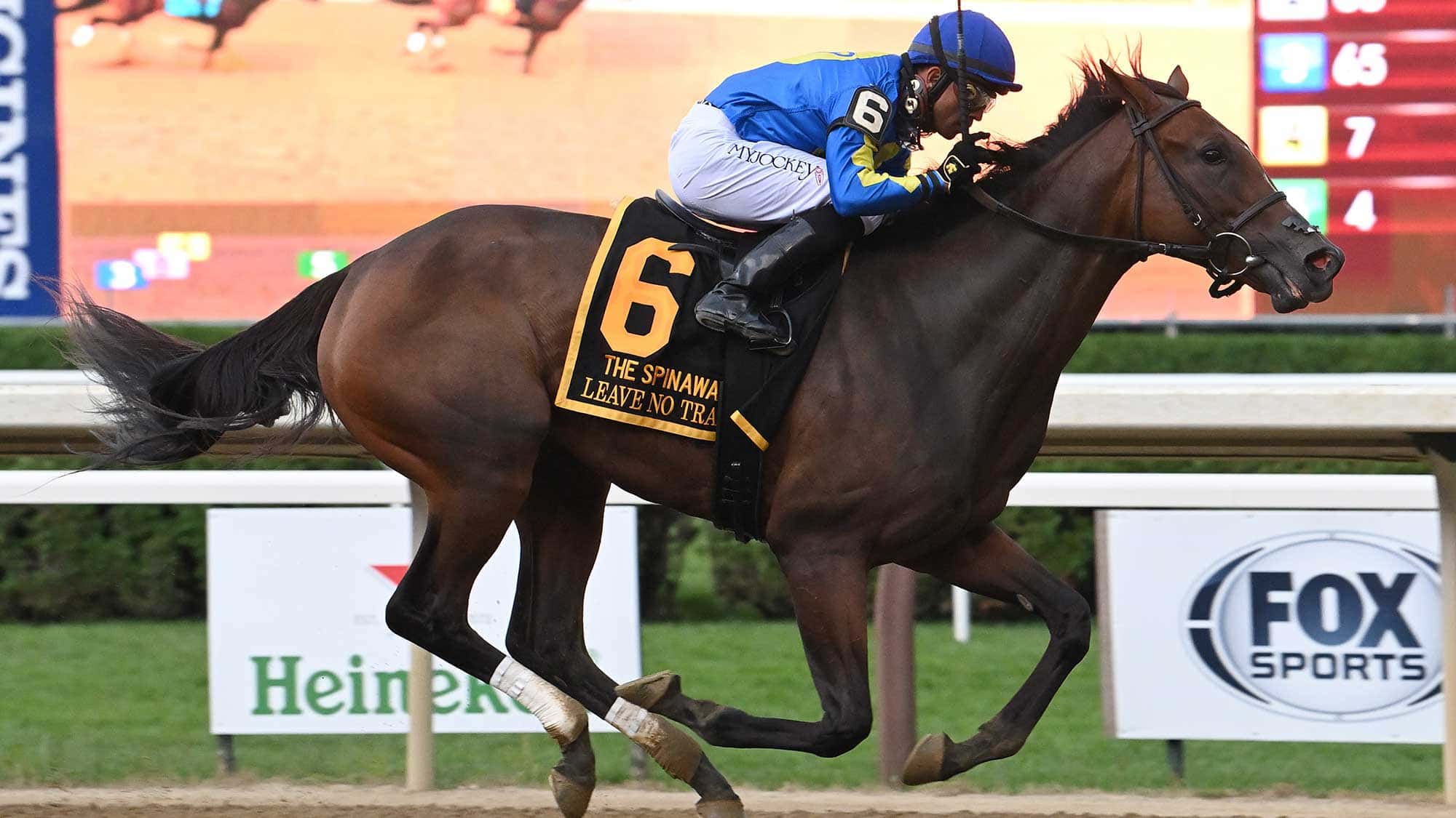 leave-no-trace-the-spinaway