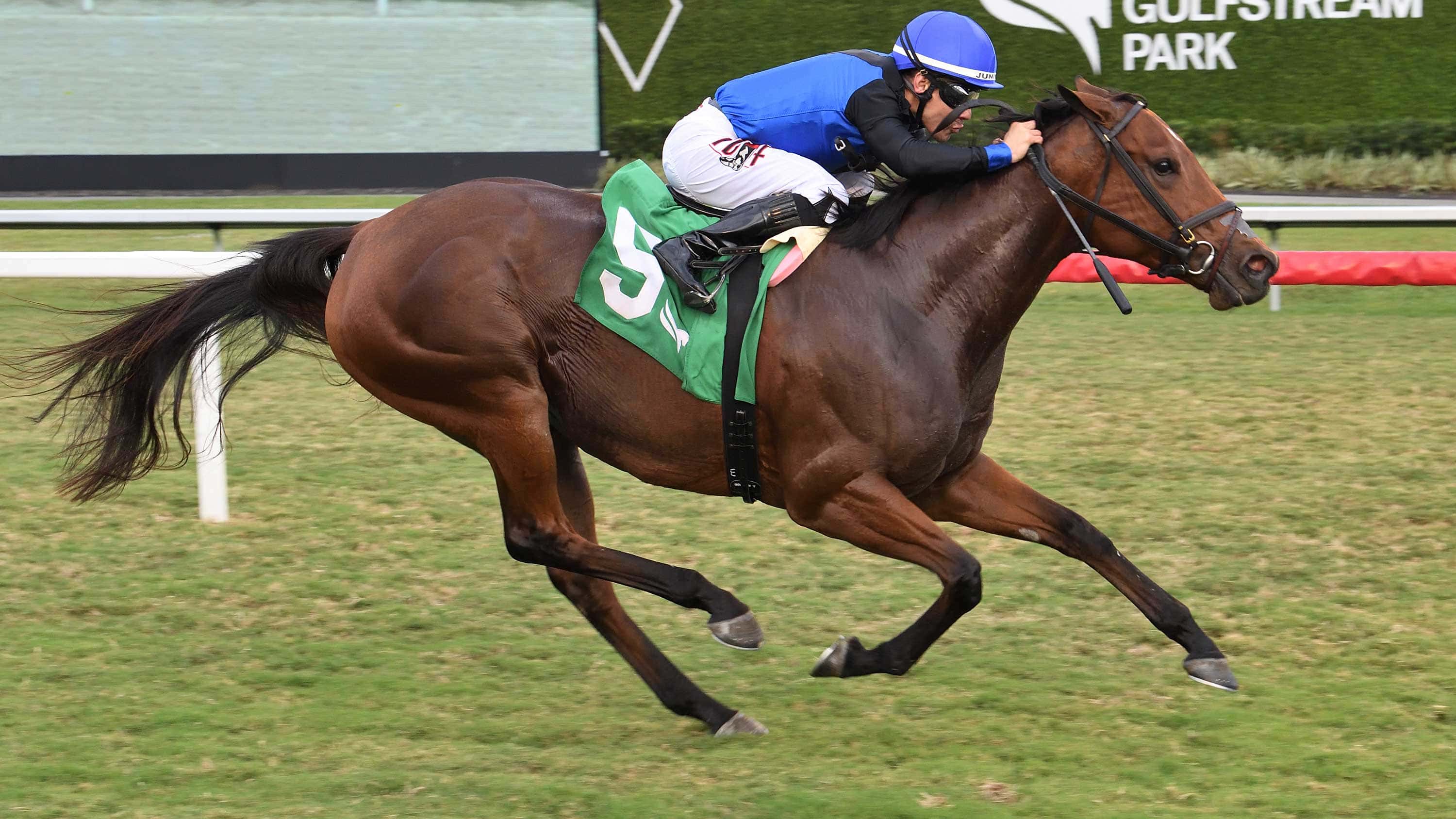 Just a Care Chasing Second Stakes Win in Ladies’ Turf Sprint