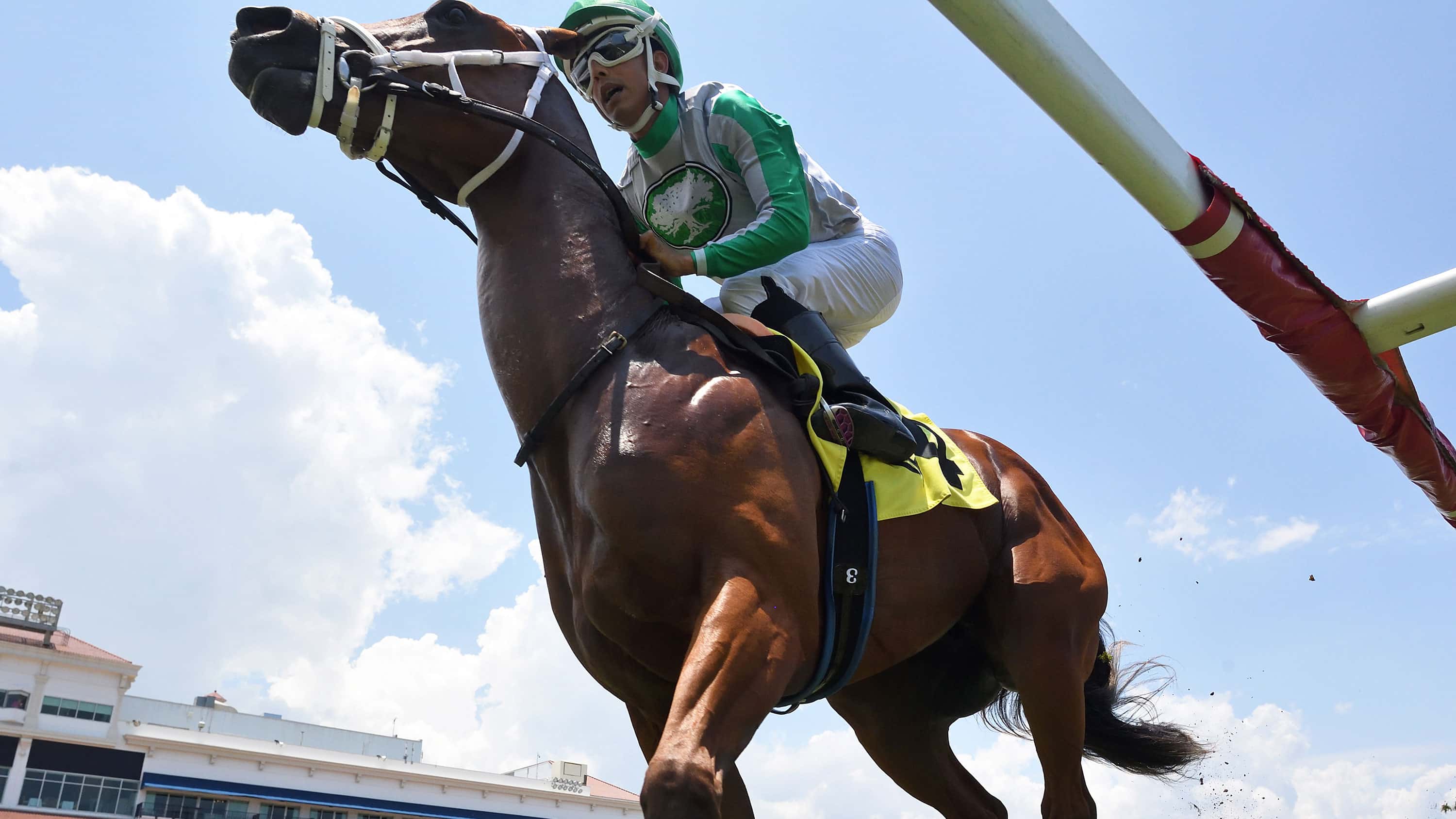 Lennilu, Squire, Monster Put the ‘Leinster’ in Hollywood Beach