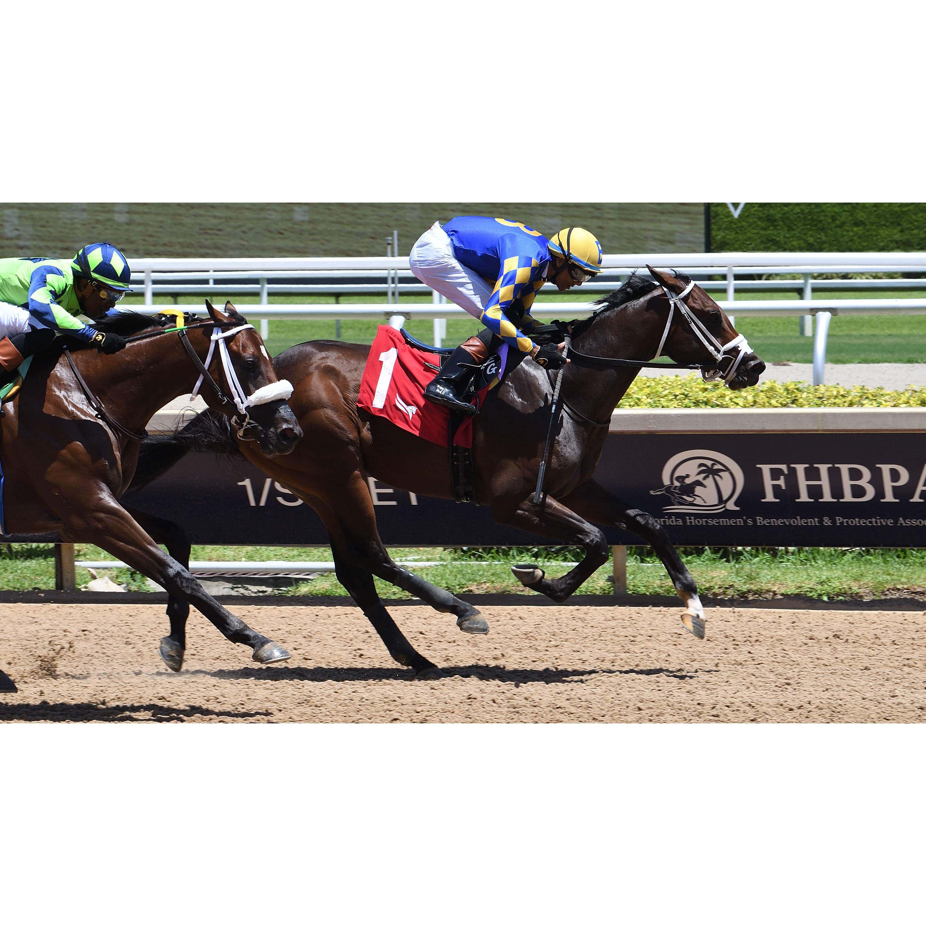 Stick Talk Looking to Bounce Back in Gulfstream Feature