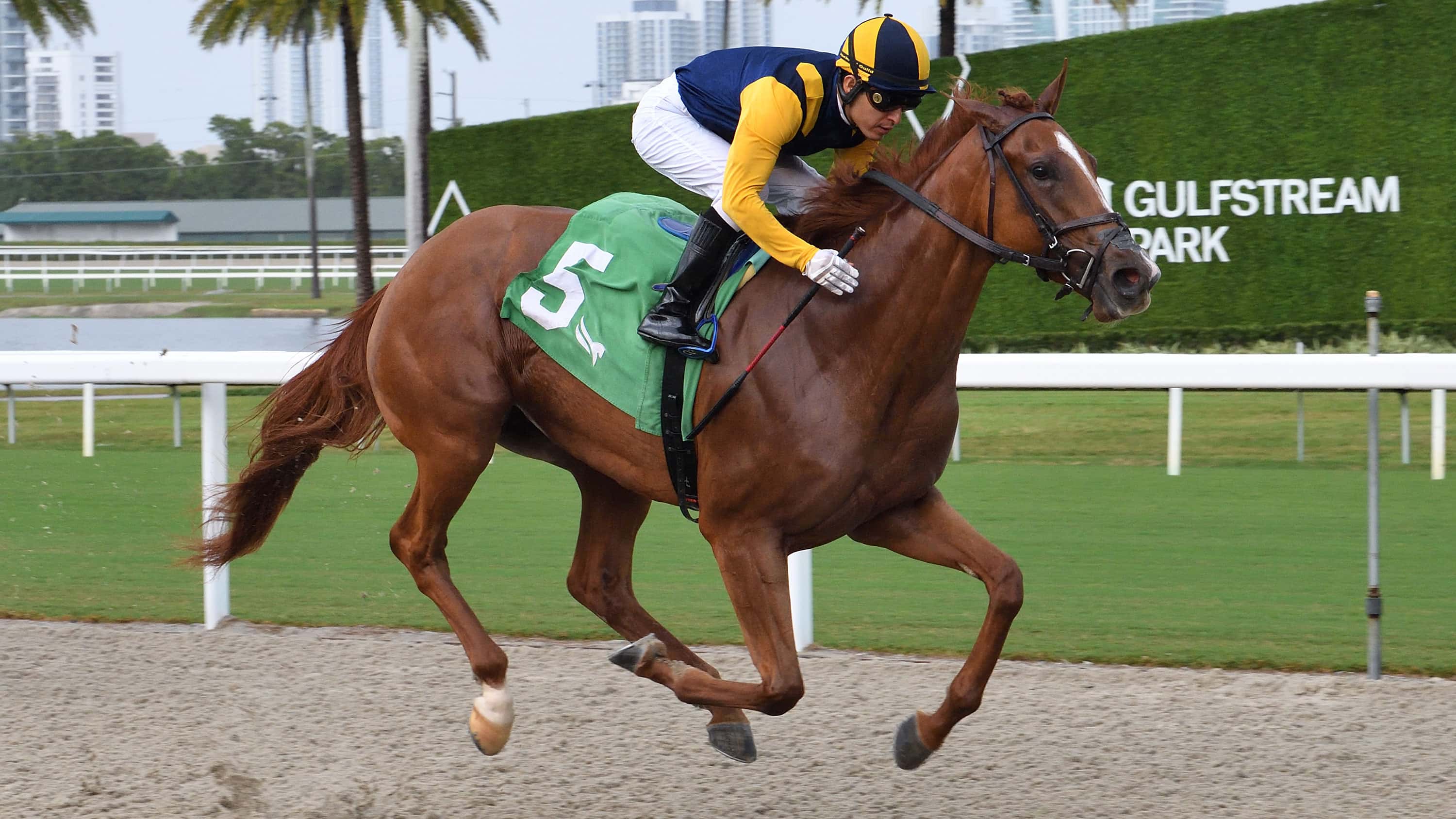 Chasing Fourth Straight Win in One Mile Turf Test for 3YO Fillies