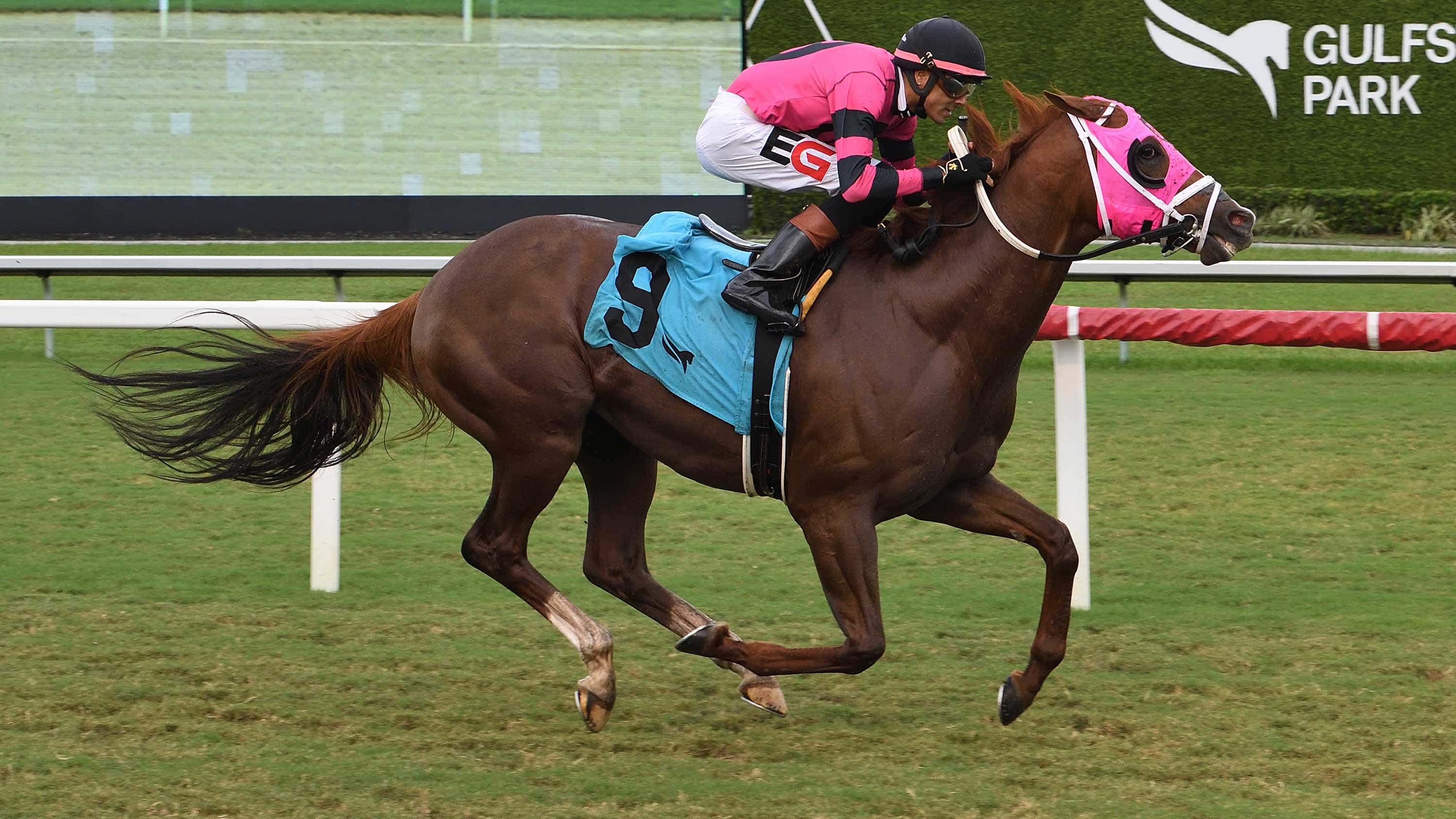 Millionaire Neat Outclasses Rivals in Miami Mile Handicap