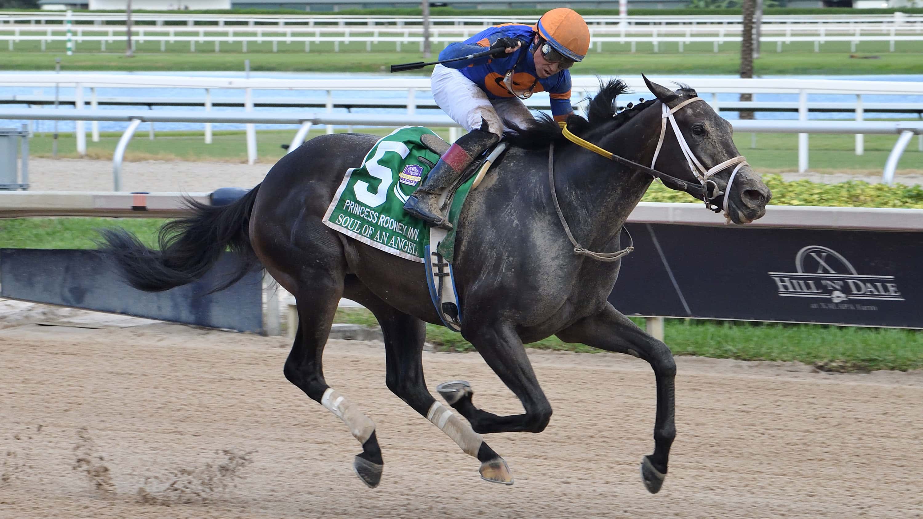 Soul of an Angel Back Home at Gulfstream