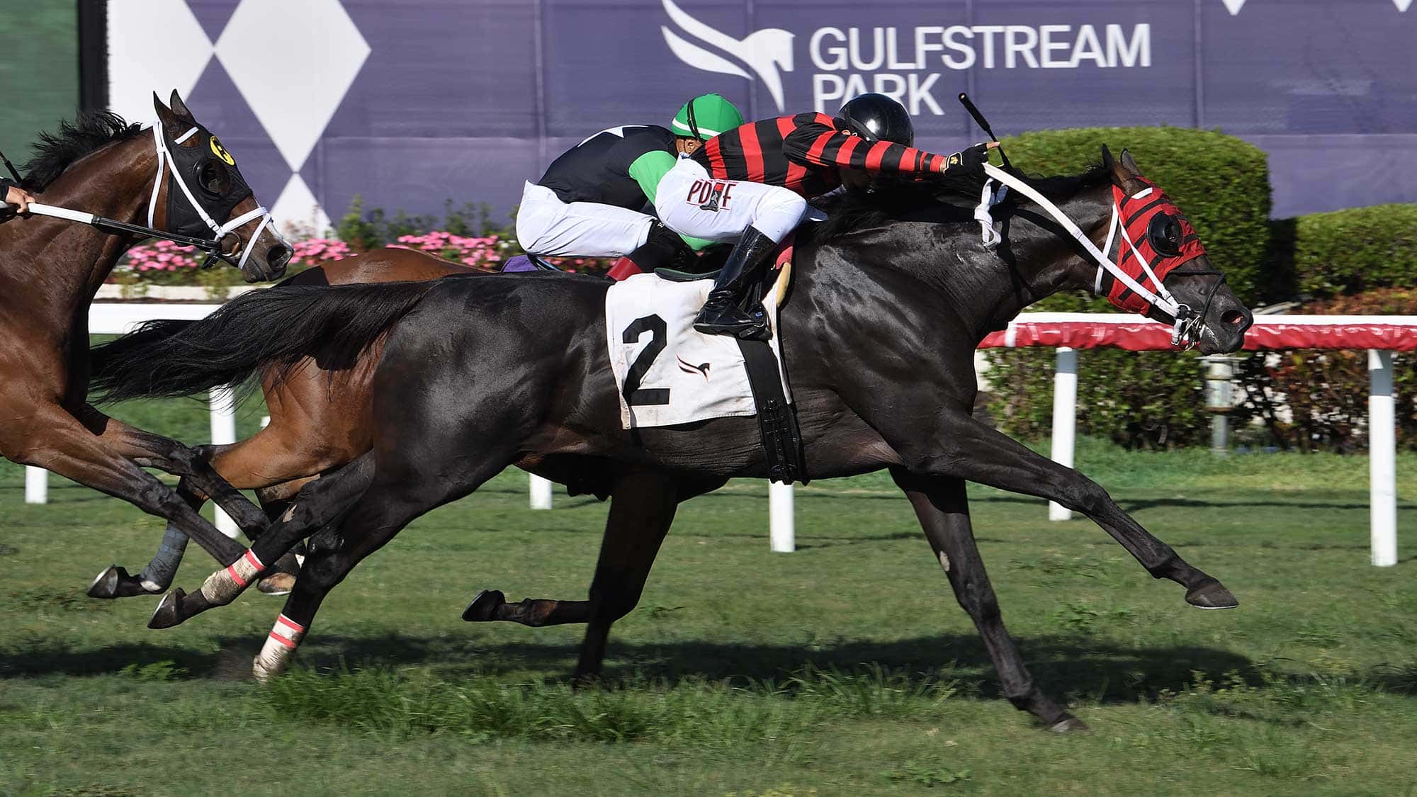 Eamonn-the-Pembroke-Lake