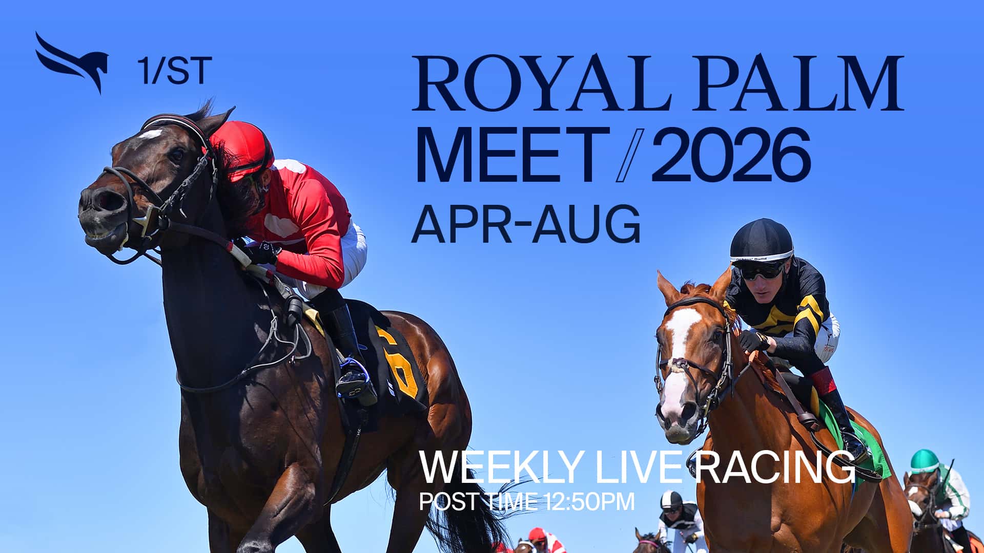 1920x1080 RoyalPalmMeet 2026 background asset