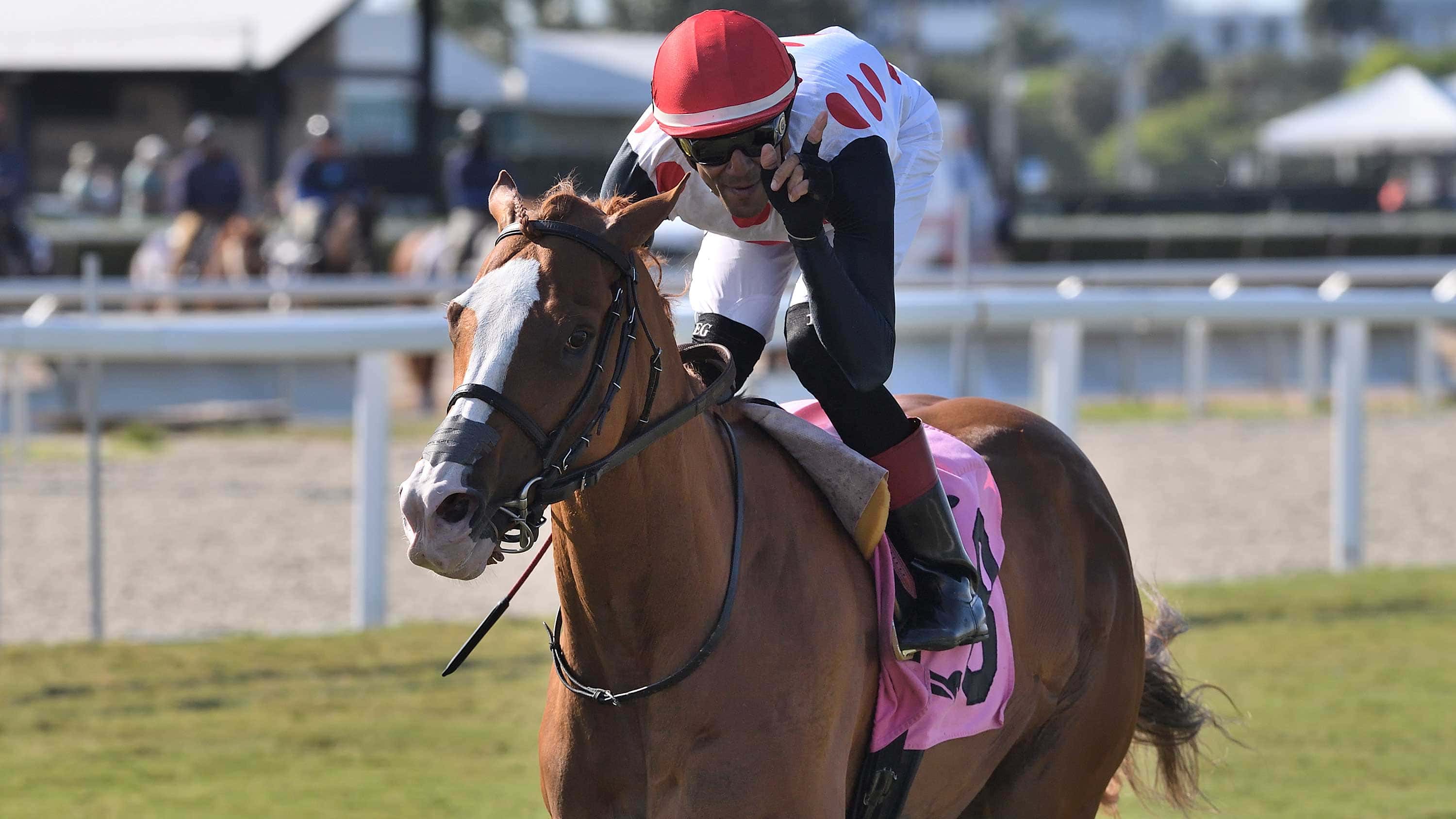 Clash of Millionaires in Saturday’s Miami Mile Handicap