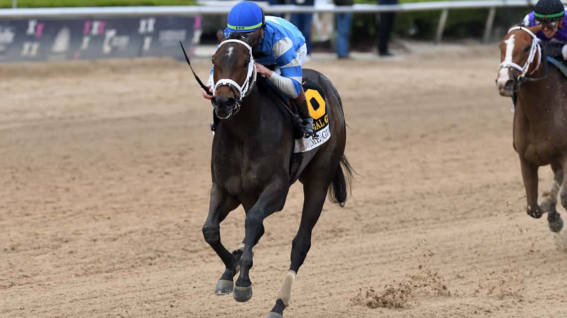 Gulfstream Park Oaks Nominee On Time Girl Works Friday
