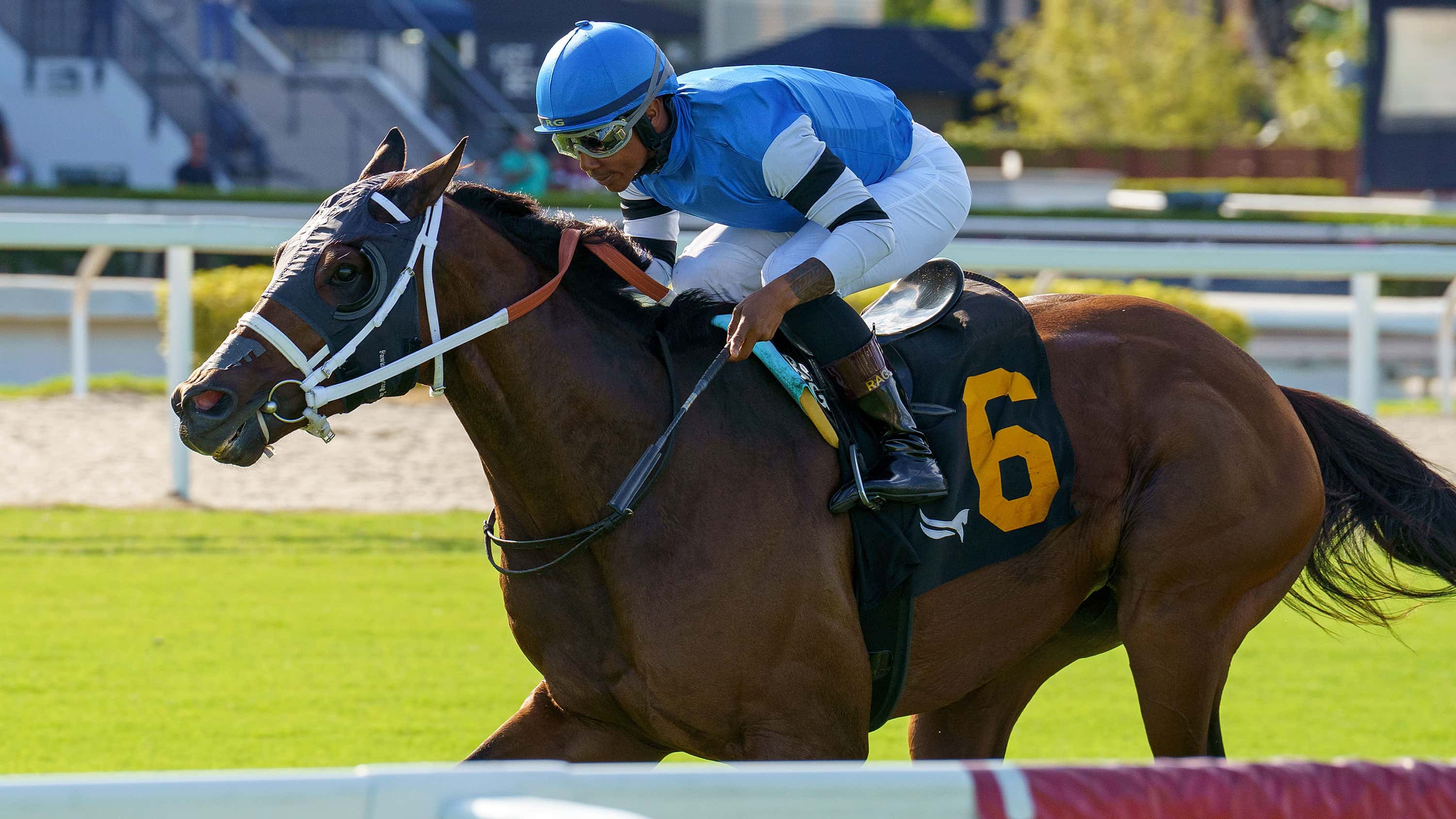G2 Winner Reef Runner Breezes Saturday for Janus