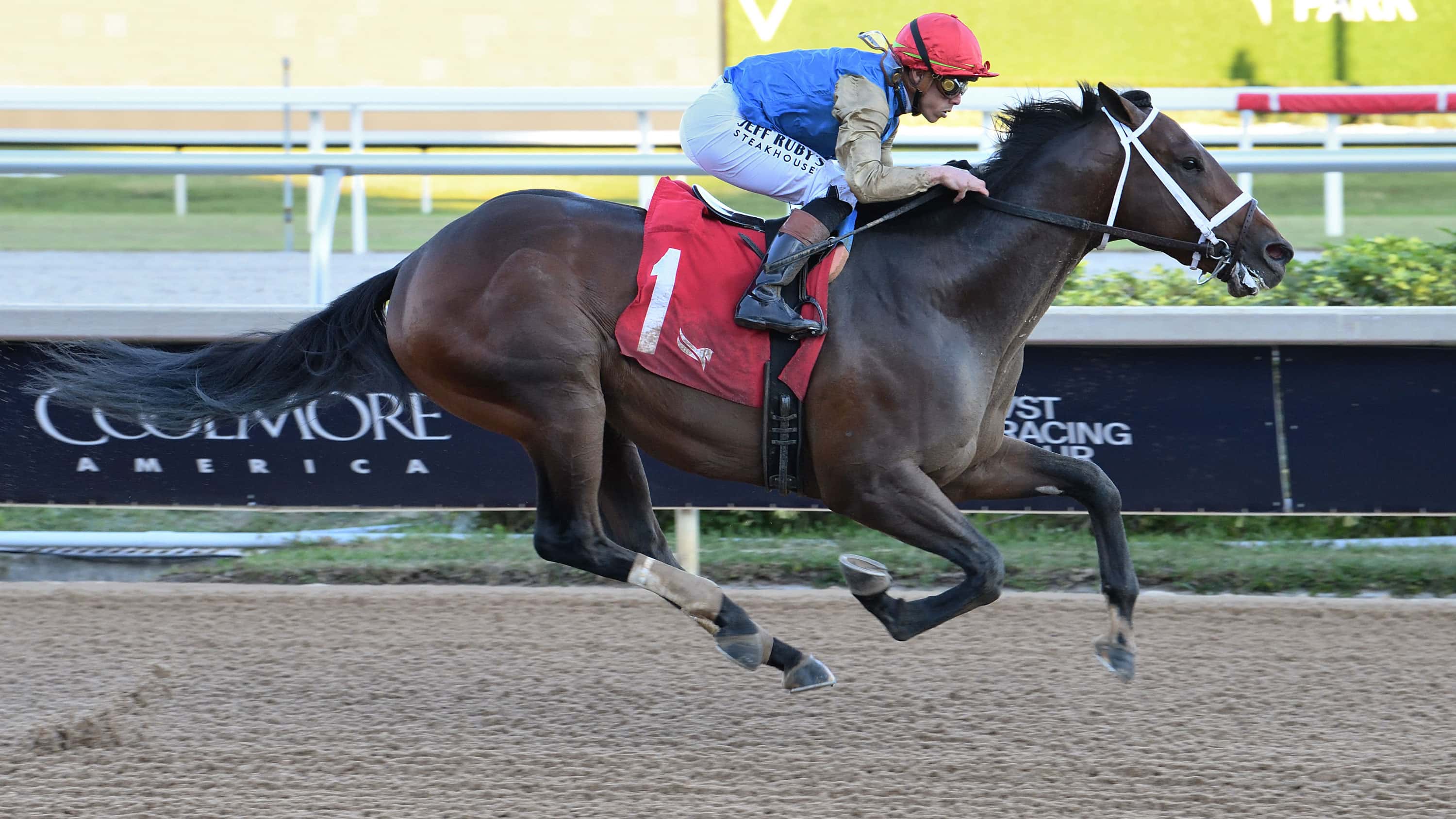 75th Curlin Florida Derby (G1) Anniversary to be Celebrated in Style