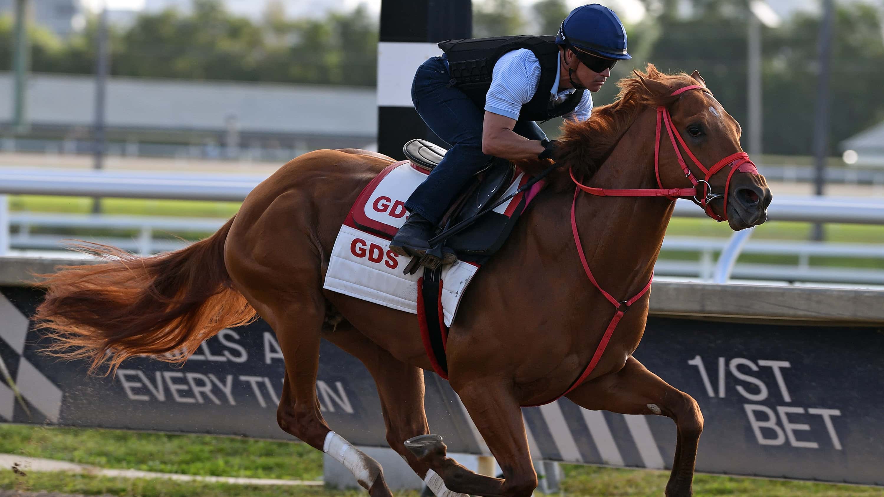 The Puma Comes Through with ‘Big Work’ at Gulfstream