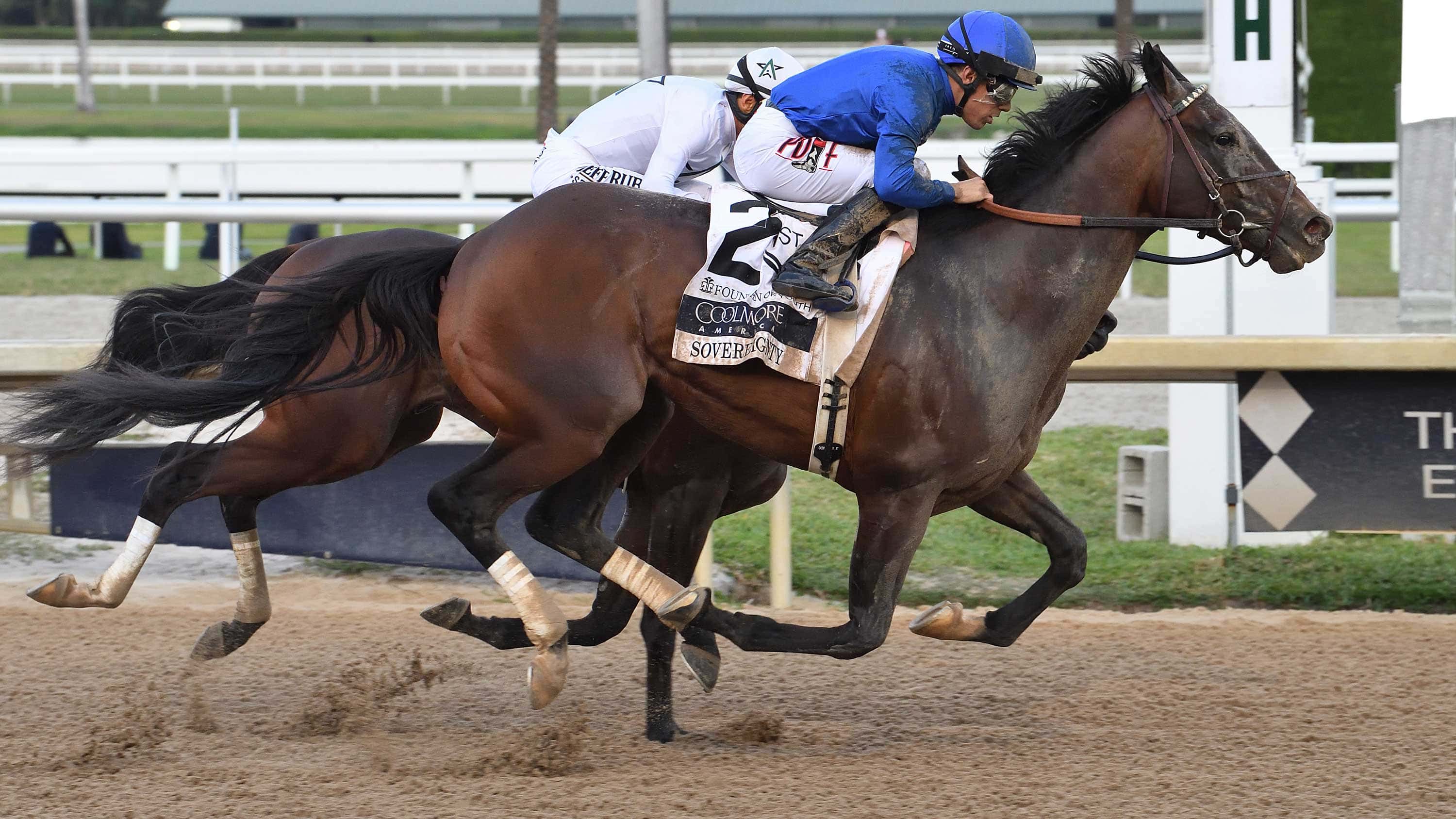 Sovereignty Breezes ‘Right Way’ for G1 Curlin Florida Derby