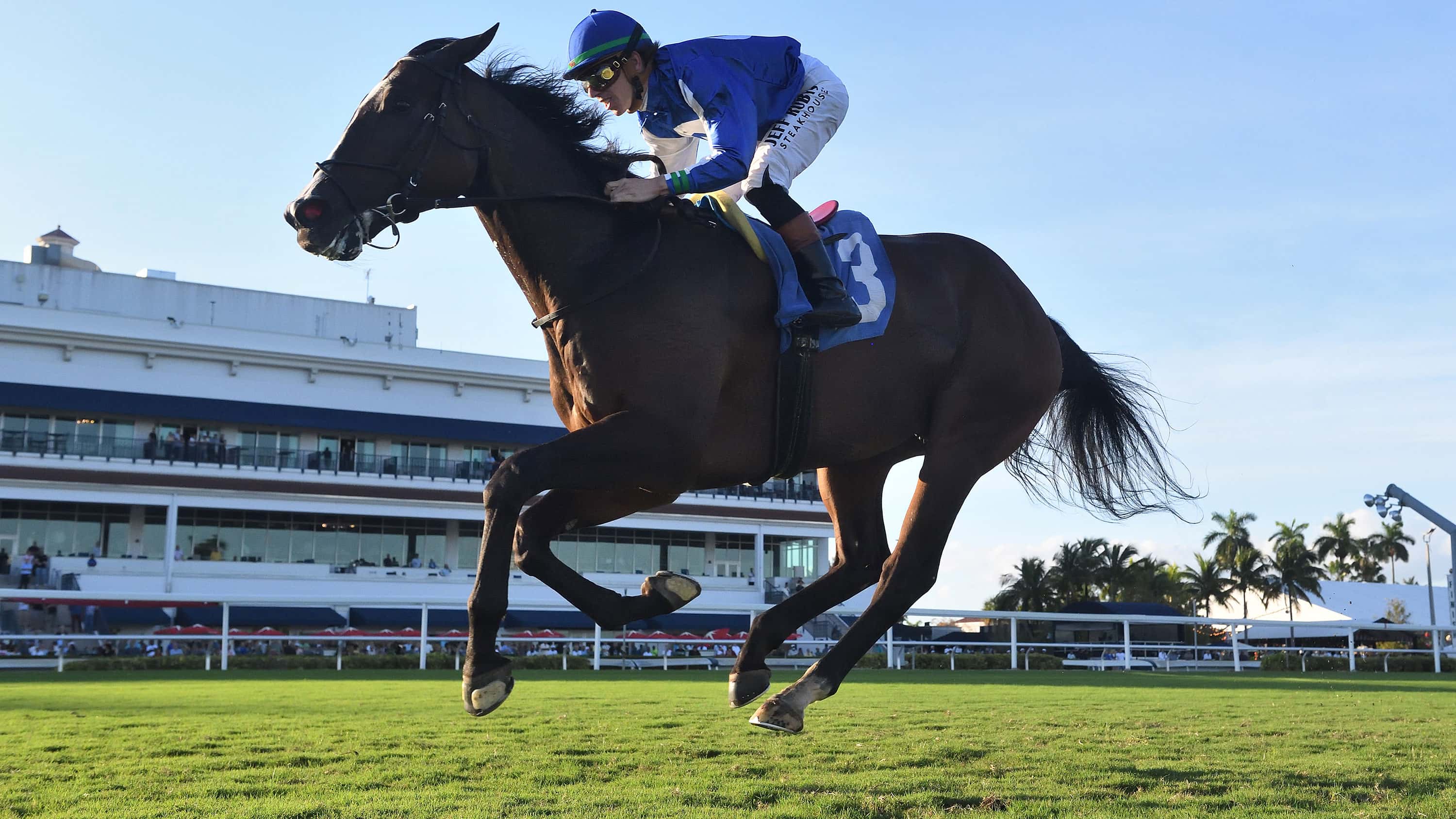 Miguel Clement Prepares for Emotional Day at Pegasus World Cup