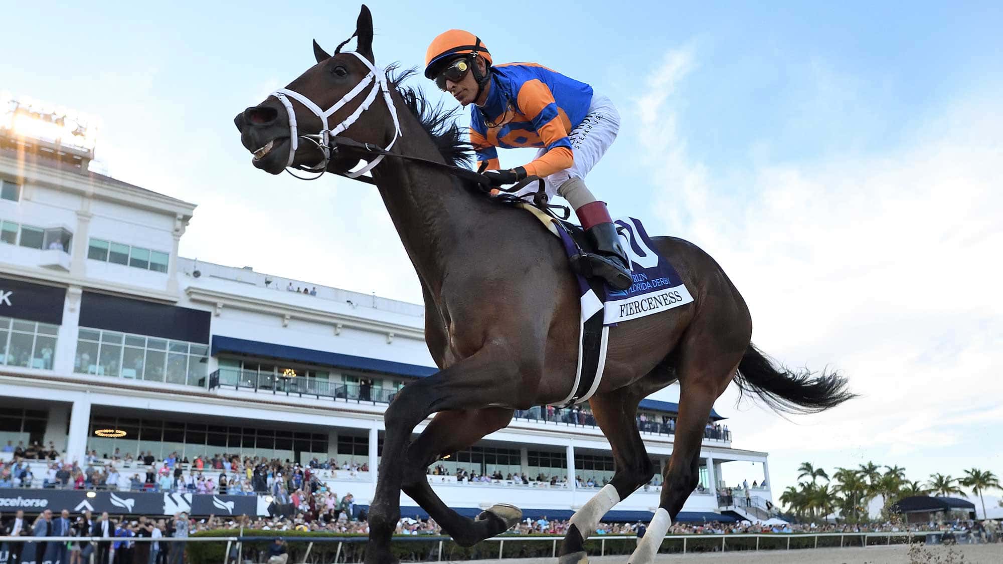 Fierceness Heads Gulfstream’s Breeders’ Cup Contingent
