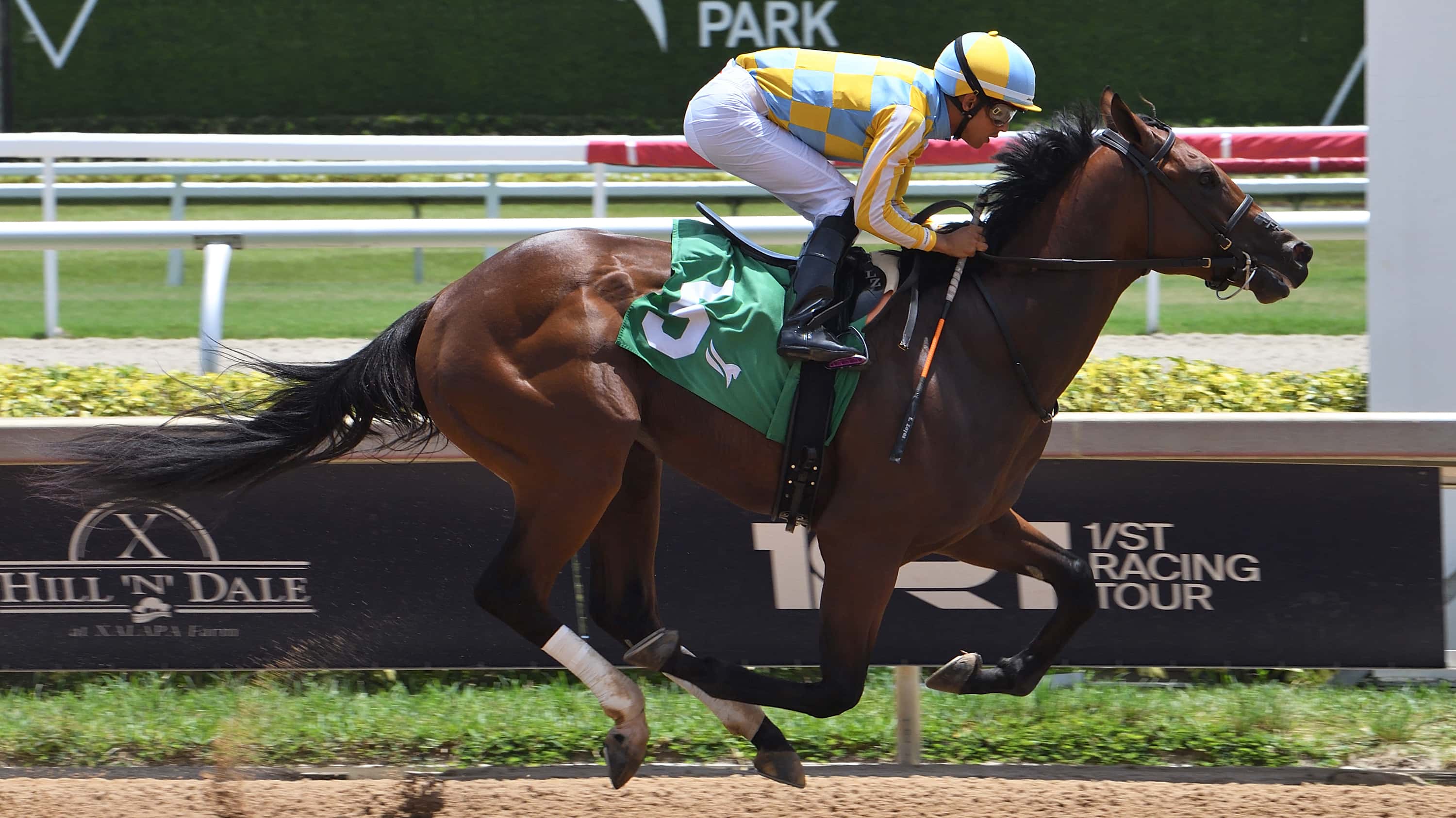 Strategic Risk Seeks Return to Winning Form in $200,000 Affirmed