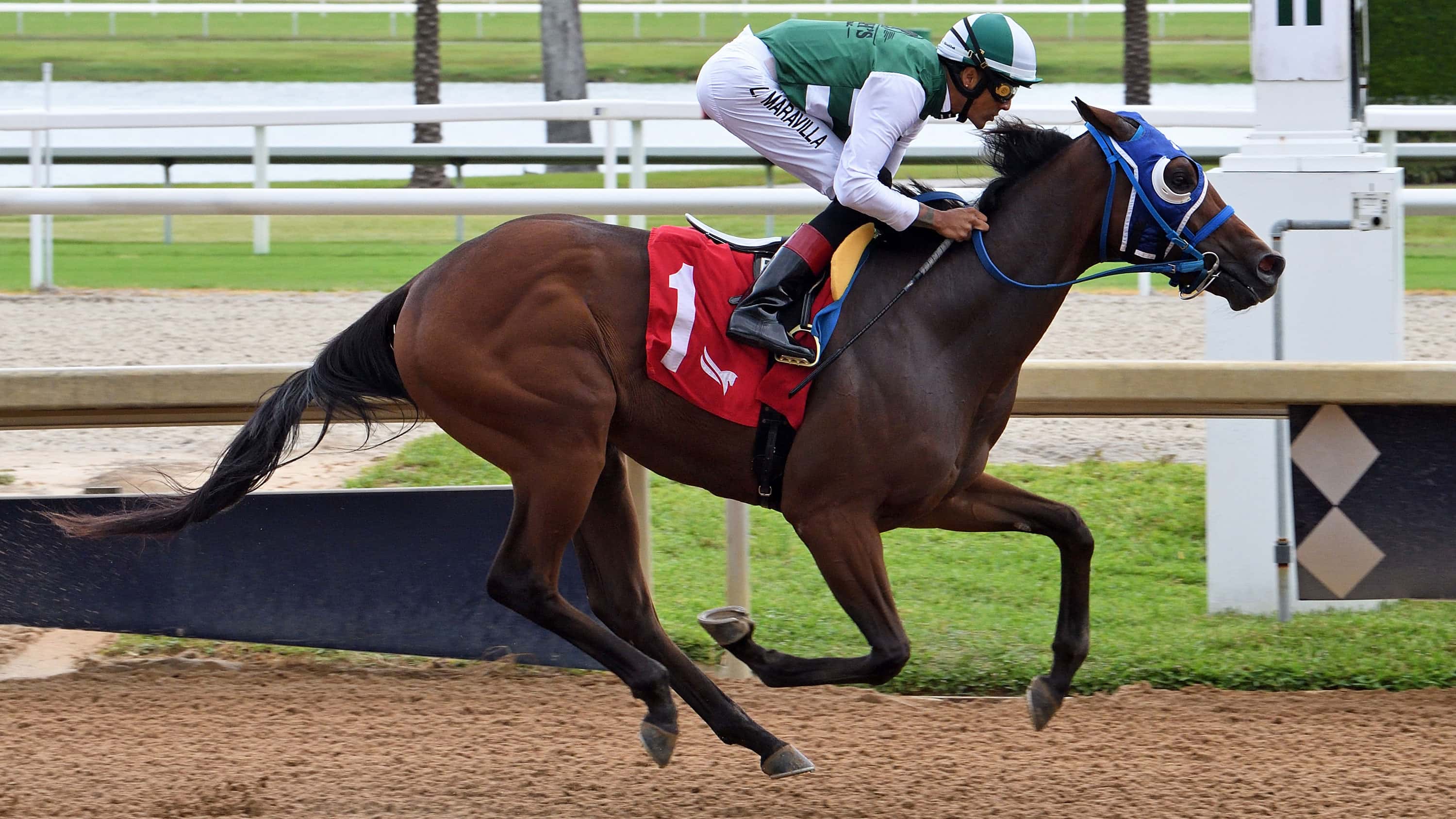 Second Leg of FTBOA FSS Attracts Full Fields, New Faces