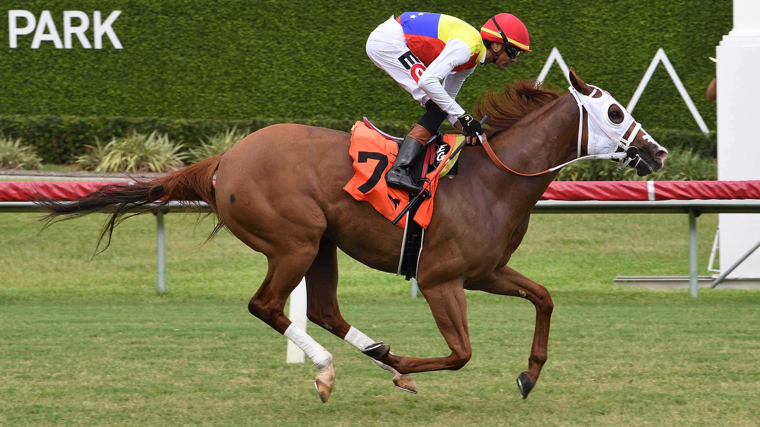 Tiffany Gold Defends Title in $70,000 Lady’s Island