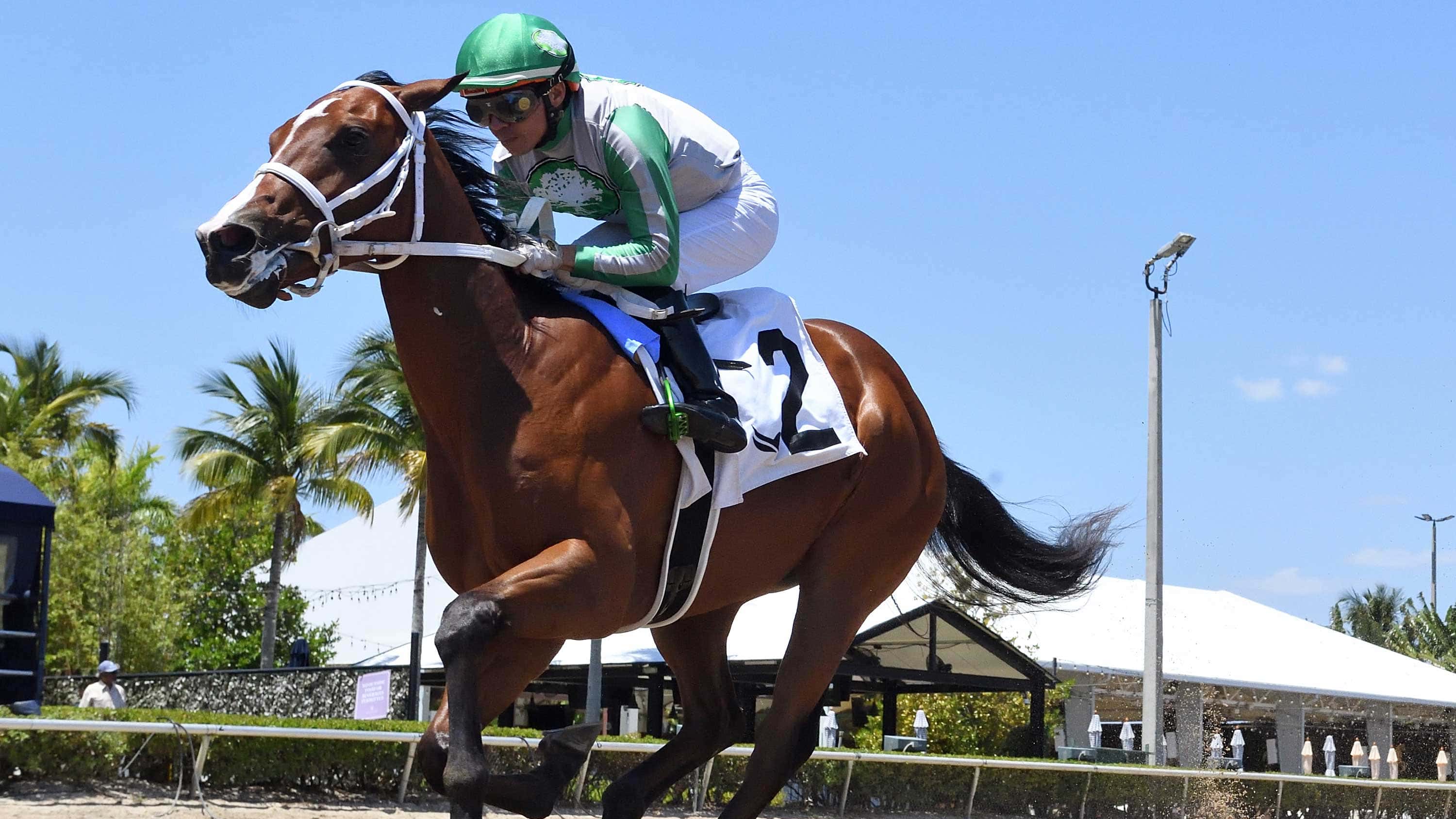 Mythical Dazzles in First 2YO Race of Royal Palm Meet