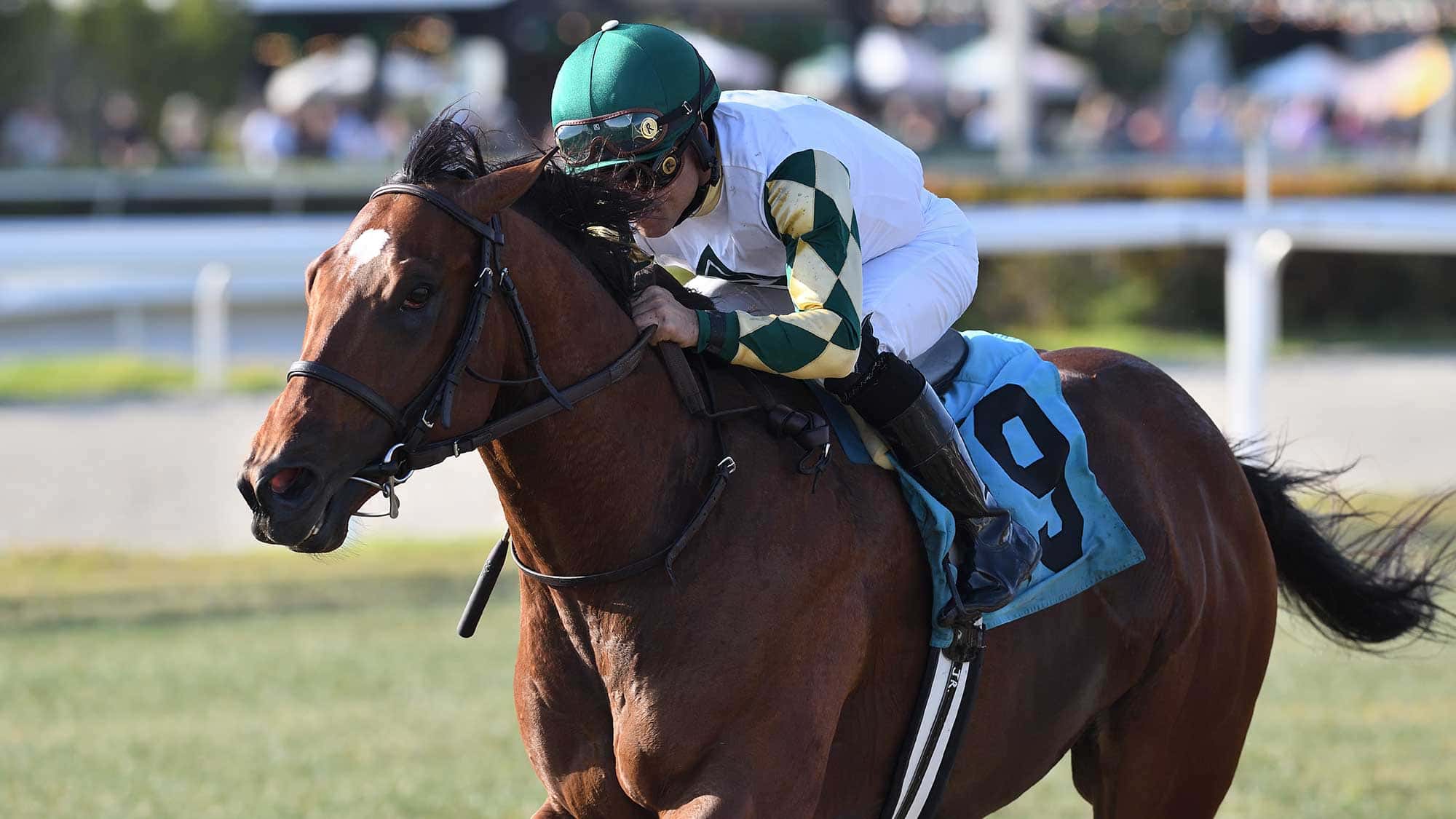 Big-Invasion-the-Silks-Run