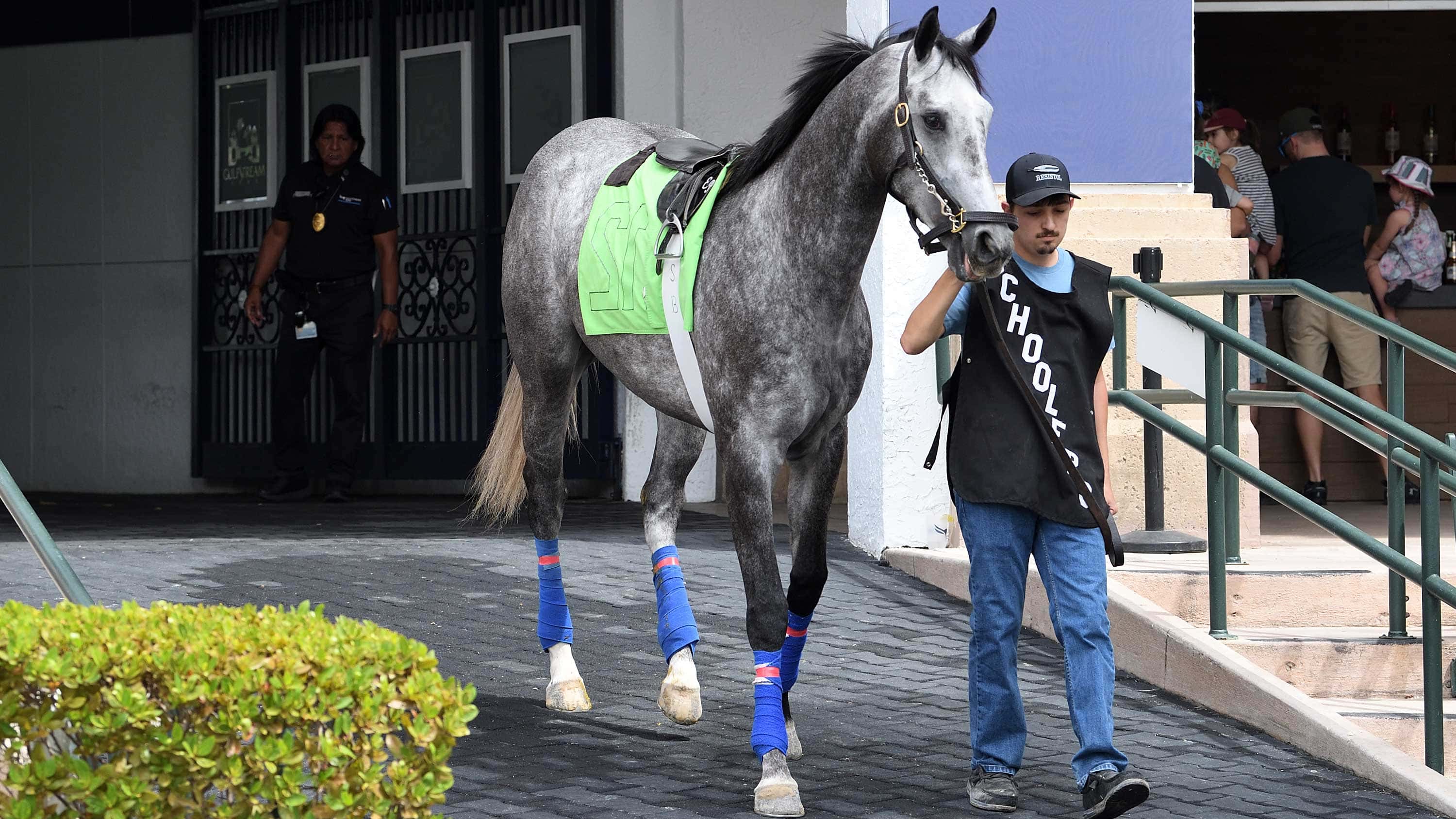 Florida Derby All Stakes Late Pick 5 Estimated Pool $2 Million