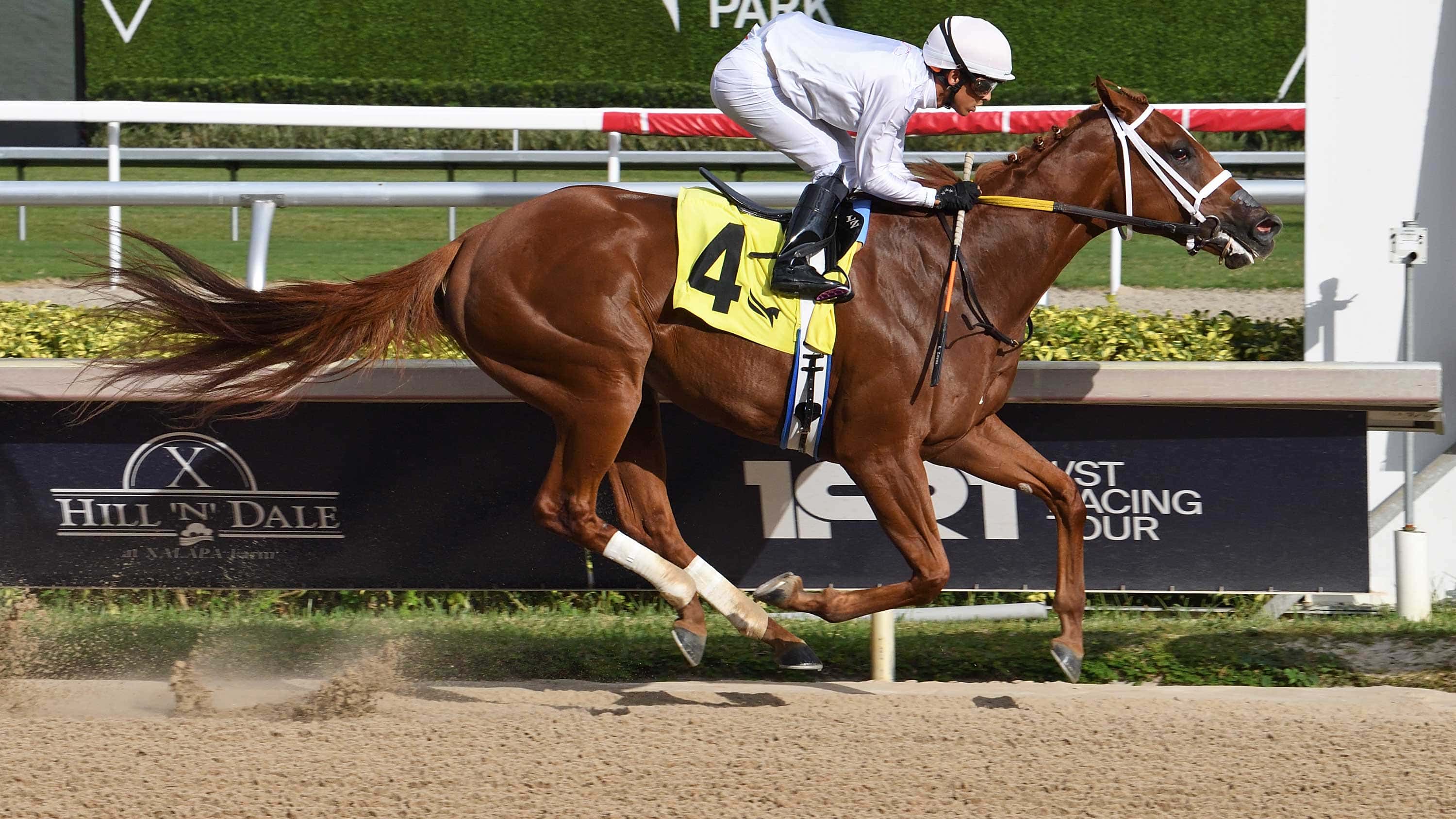 Rojo Rita Looking to Mind Her Manners in Any Limit