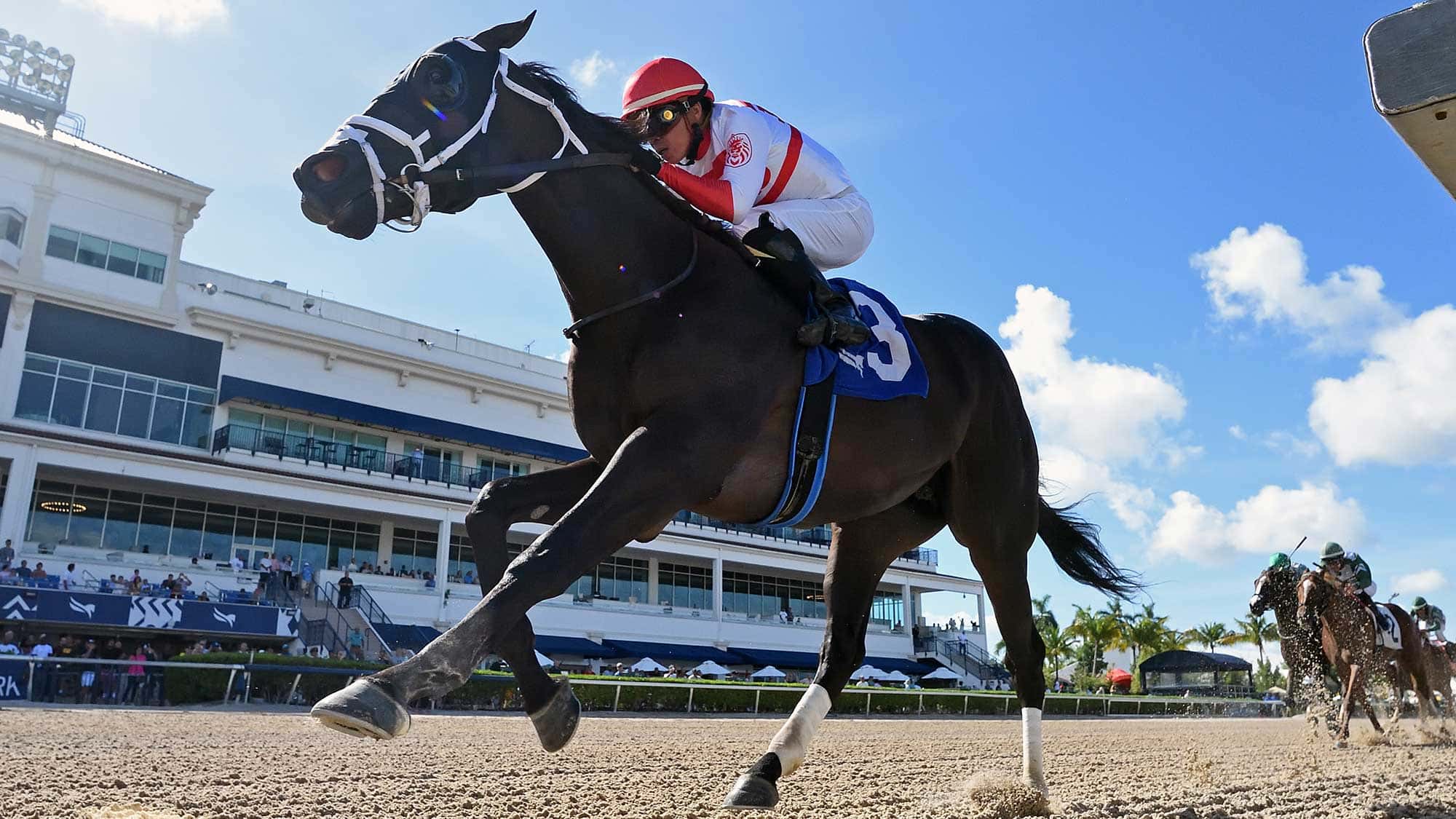 Bentornato-The-Proud-Man1