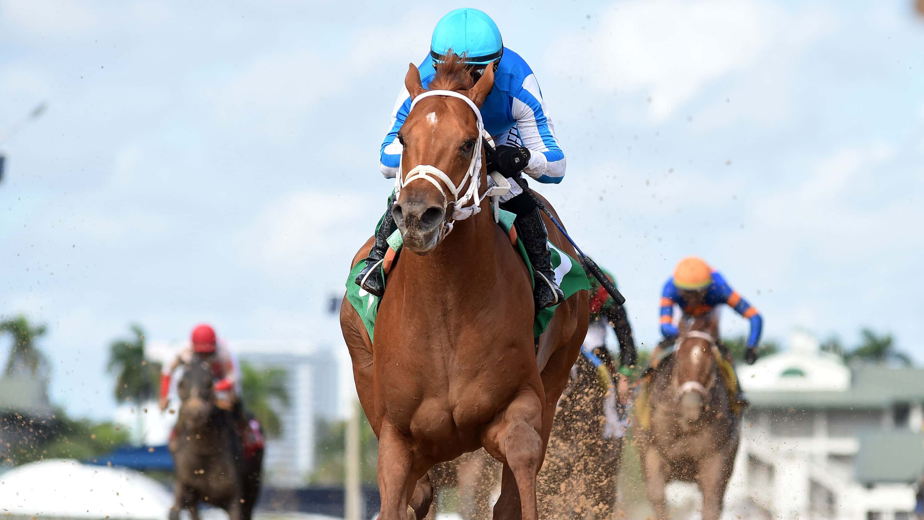 Delgado Looks to The Puma to End G1 Curlin Florida Derby Seconditis