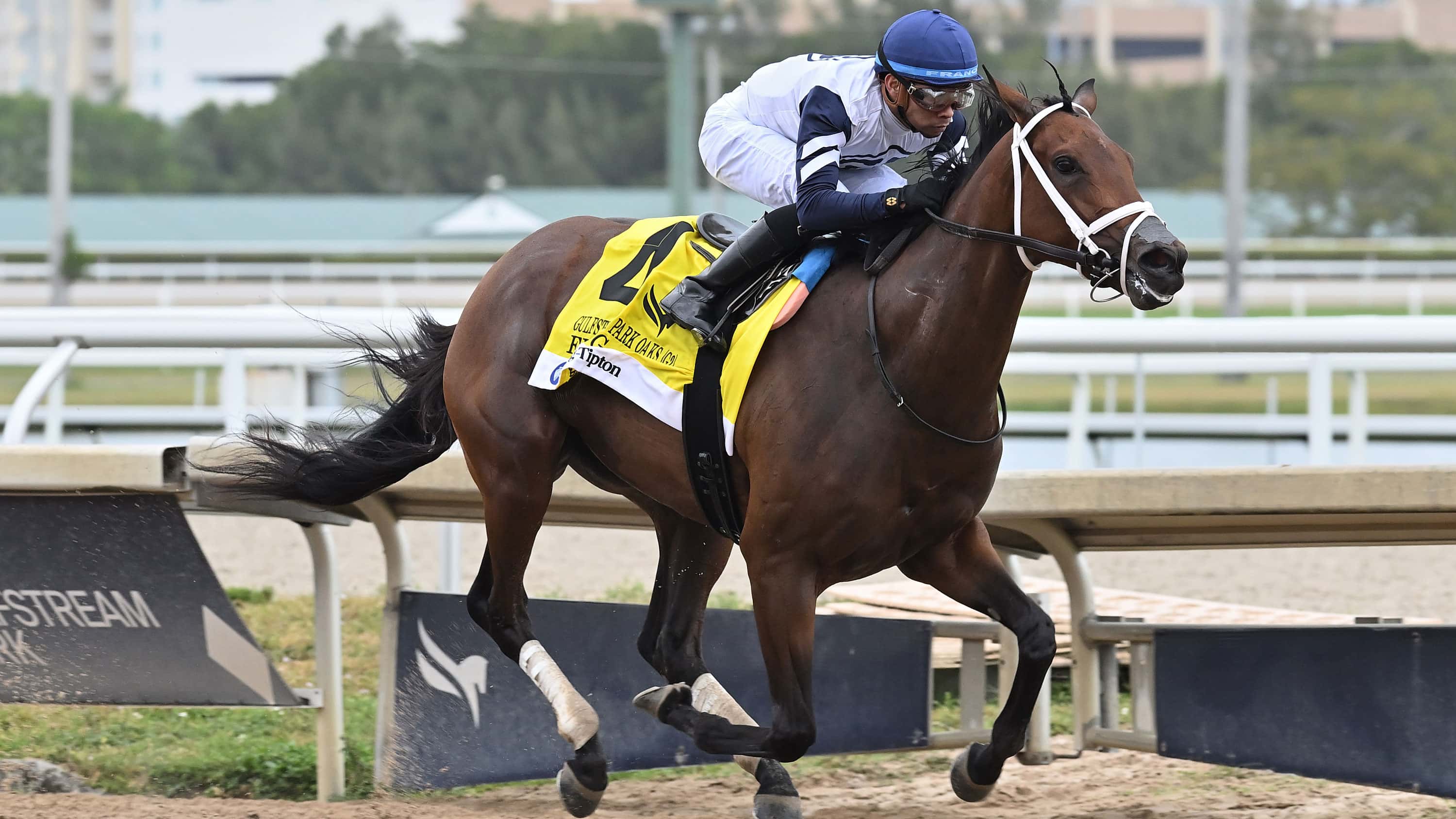 G2 Winner Five G Making Gulfstream Return Friday