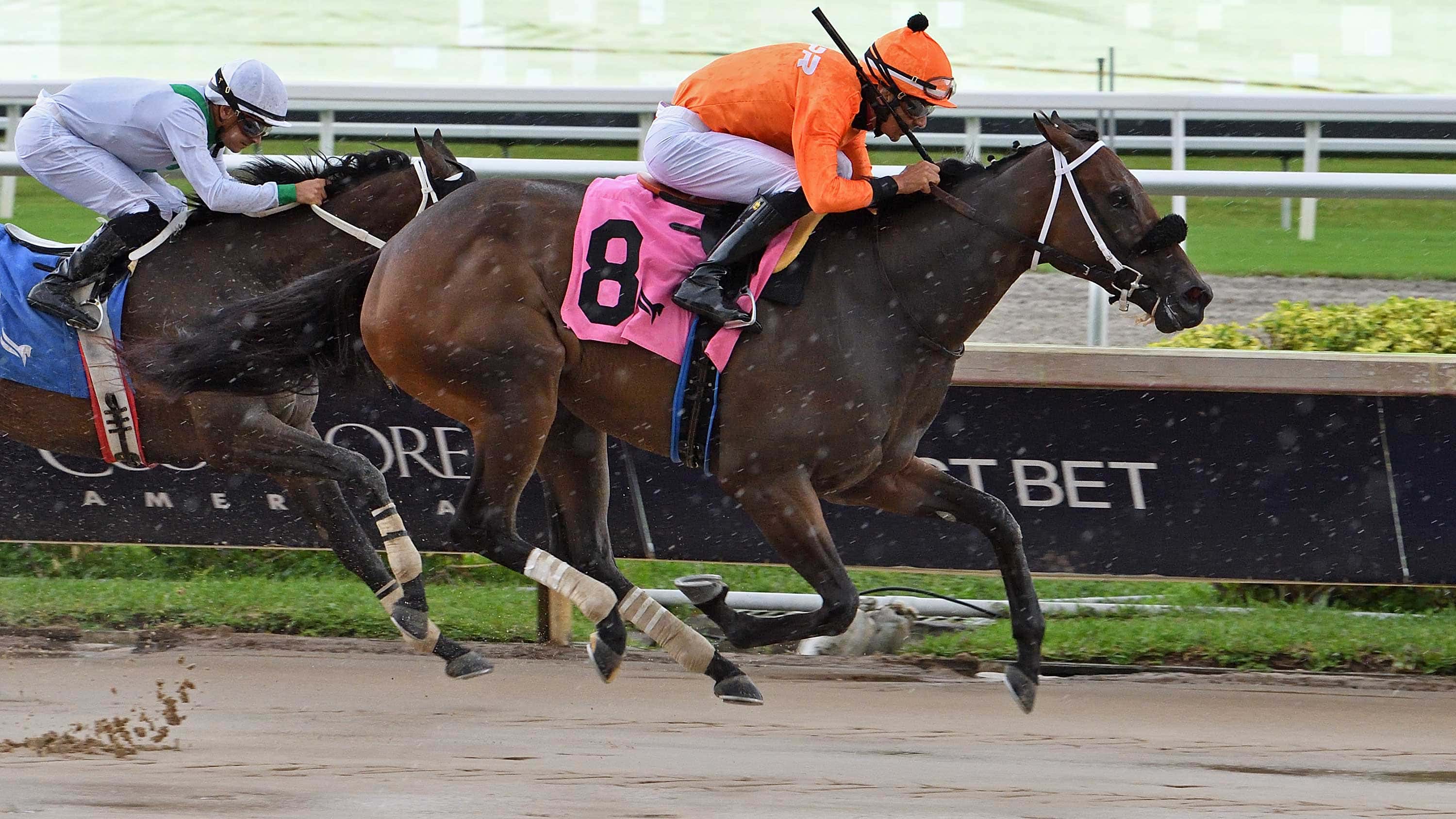 Pricey So Icy Makes Winning Debut at Gulfstream Park