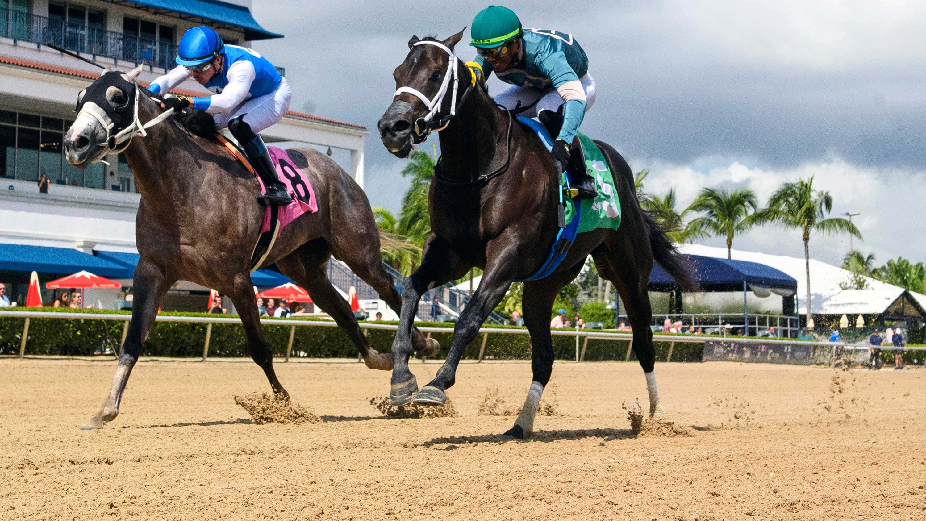 Senti La Voce Determined 2YO Maiden Winner Friday