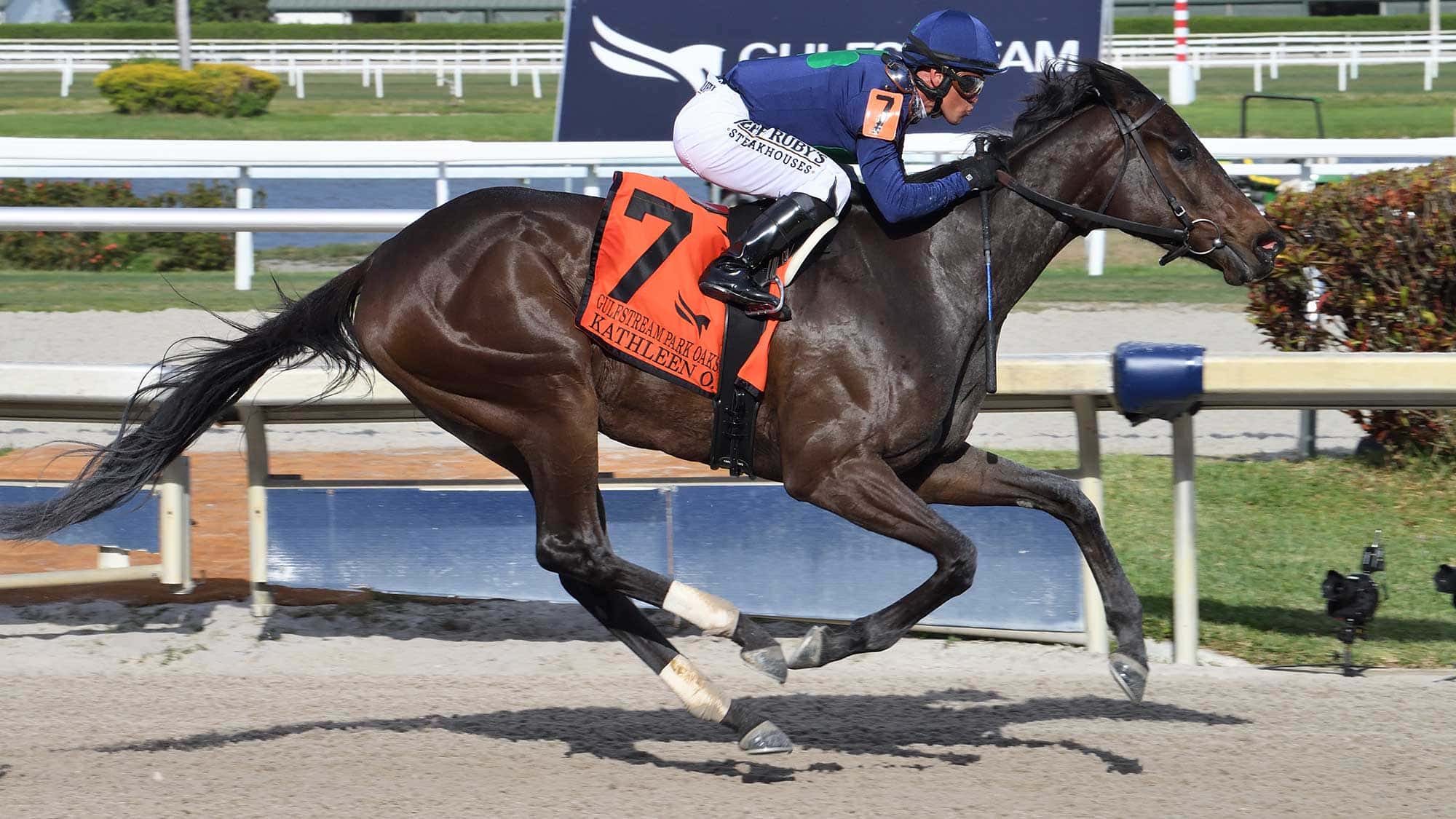 Kathleen-O-the-GP-Oaks-1