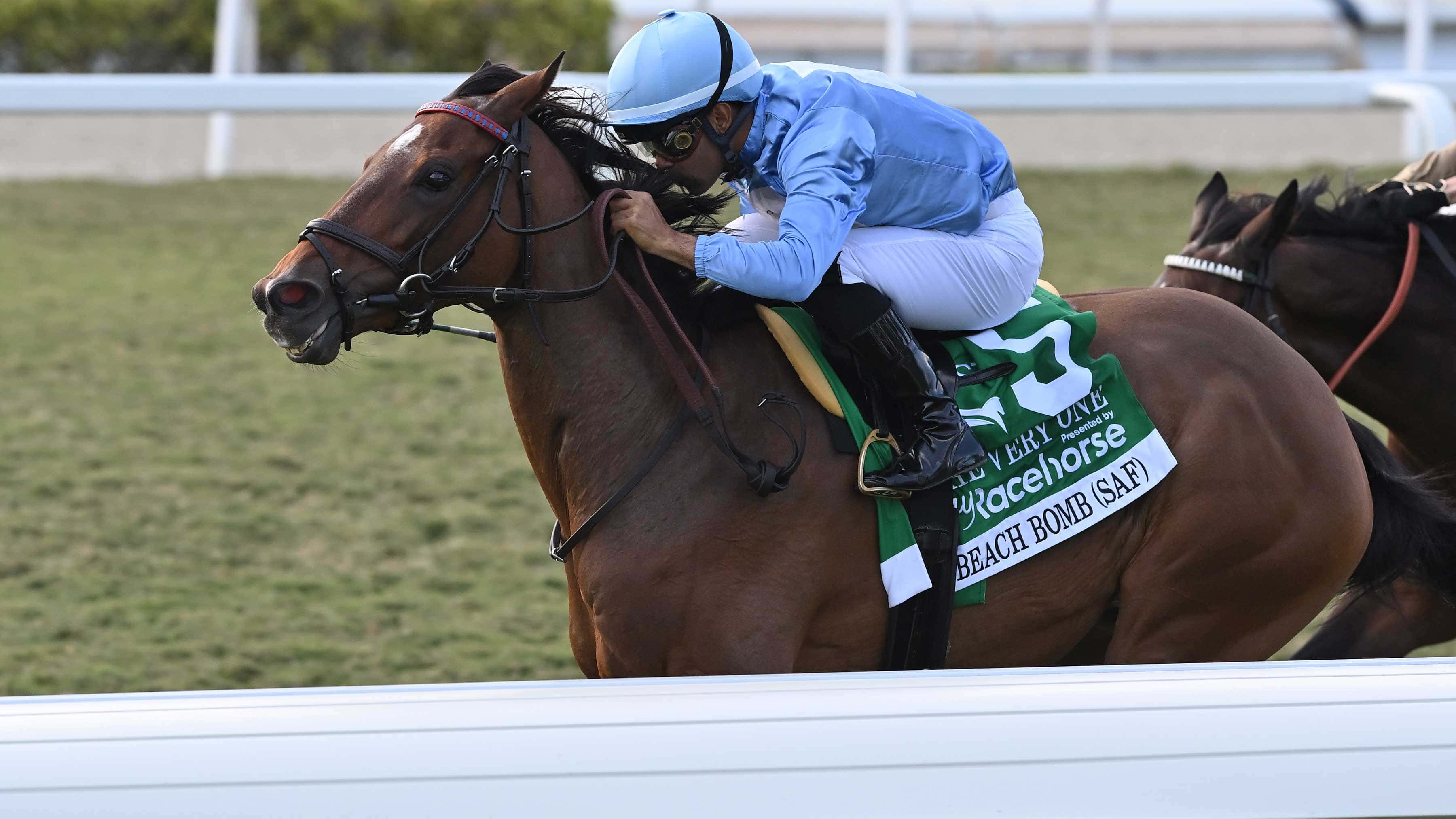 Beach Bomb Looks to Bloom Again in $165,000 Orchid (G3)