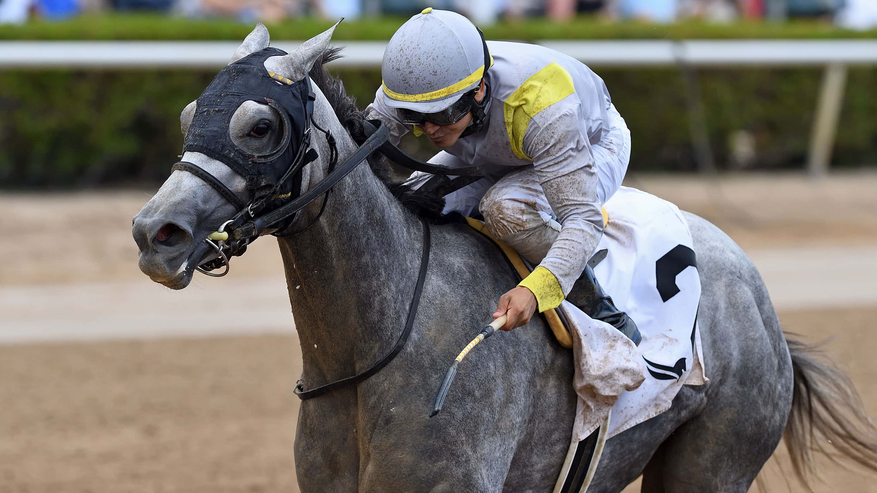 Lennilu Remains Undefeated on Dirt in Game Face
