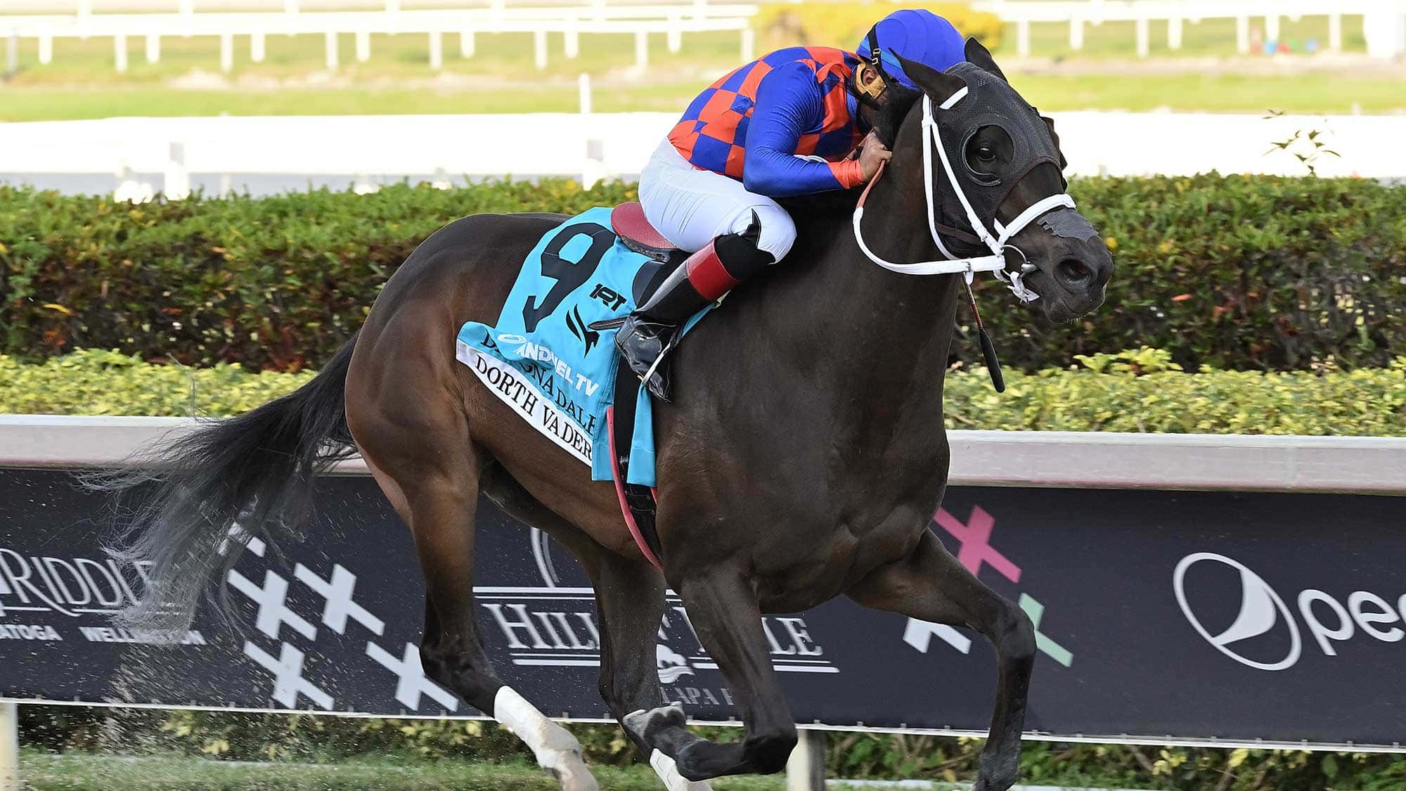 Dorth-Vader-the-Davona-Dale-2