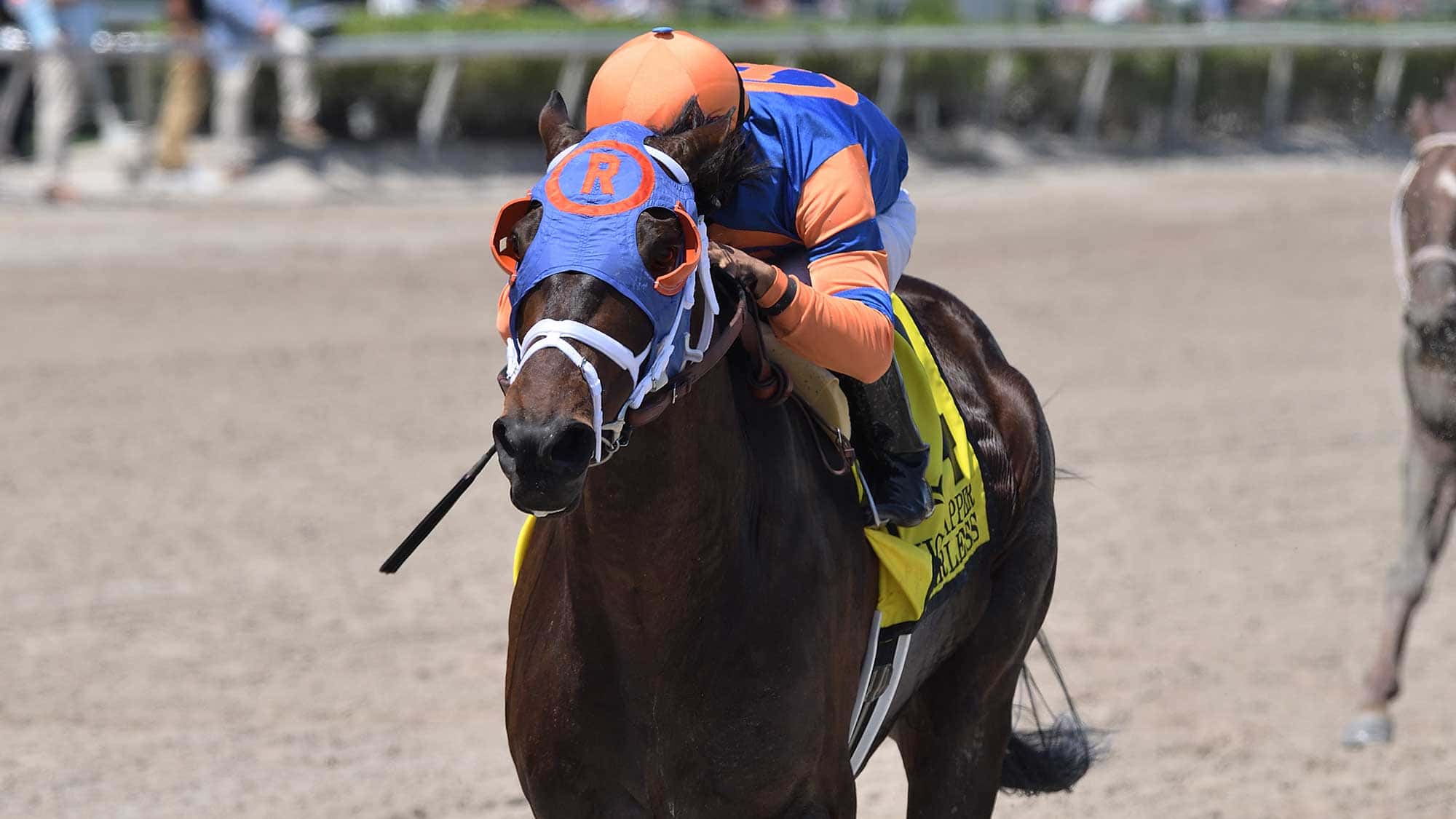 Fearless-the-Ghostzapper