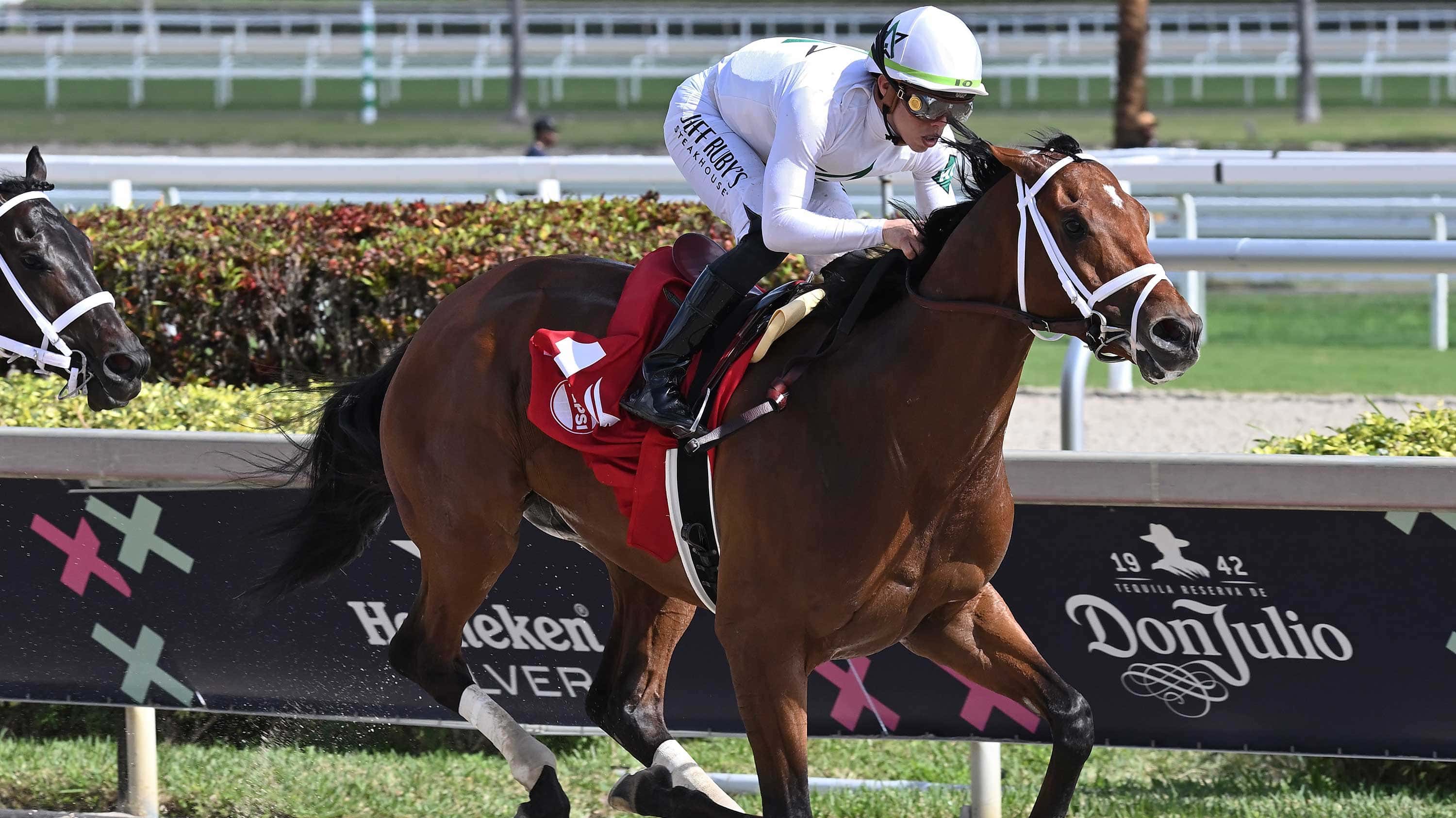 Speak Easy to Launch Comeback Saturday at Gulfstream
