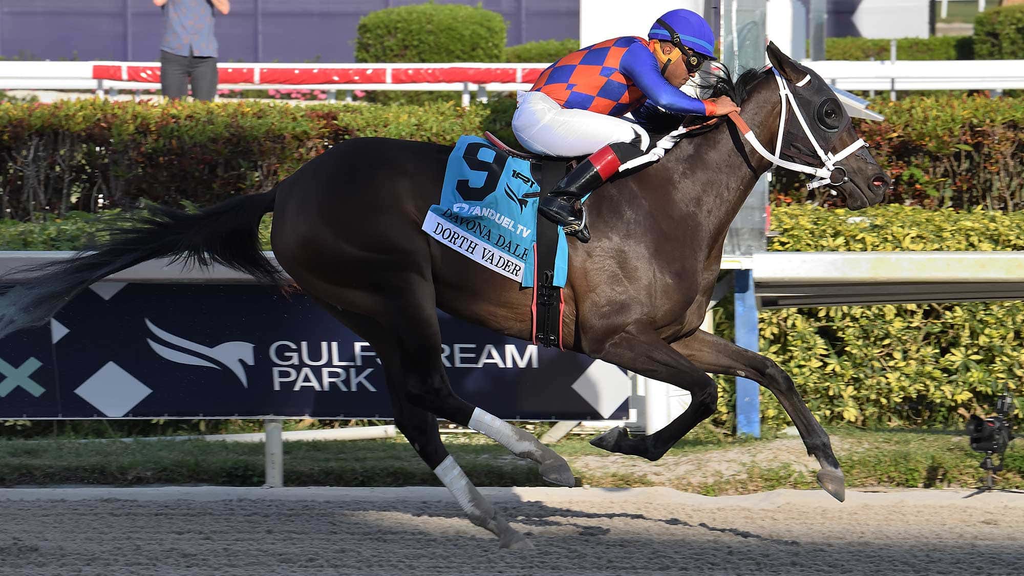 Dorth-Vader-the-Davona-Dale1