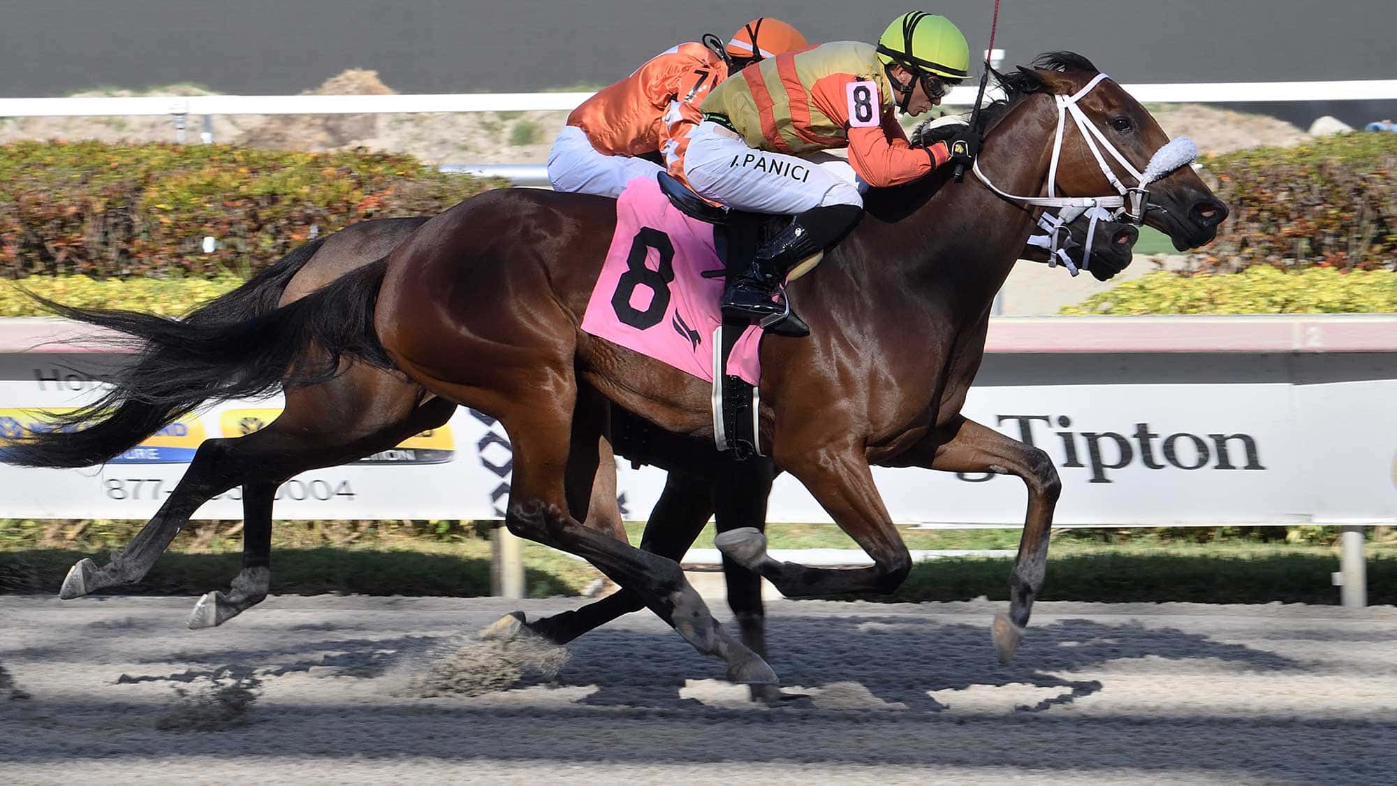 Maryquitecontrary-the-Sheer-Drama