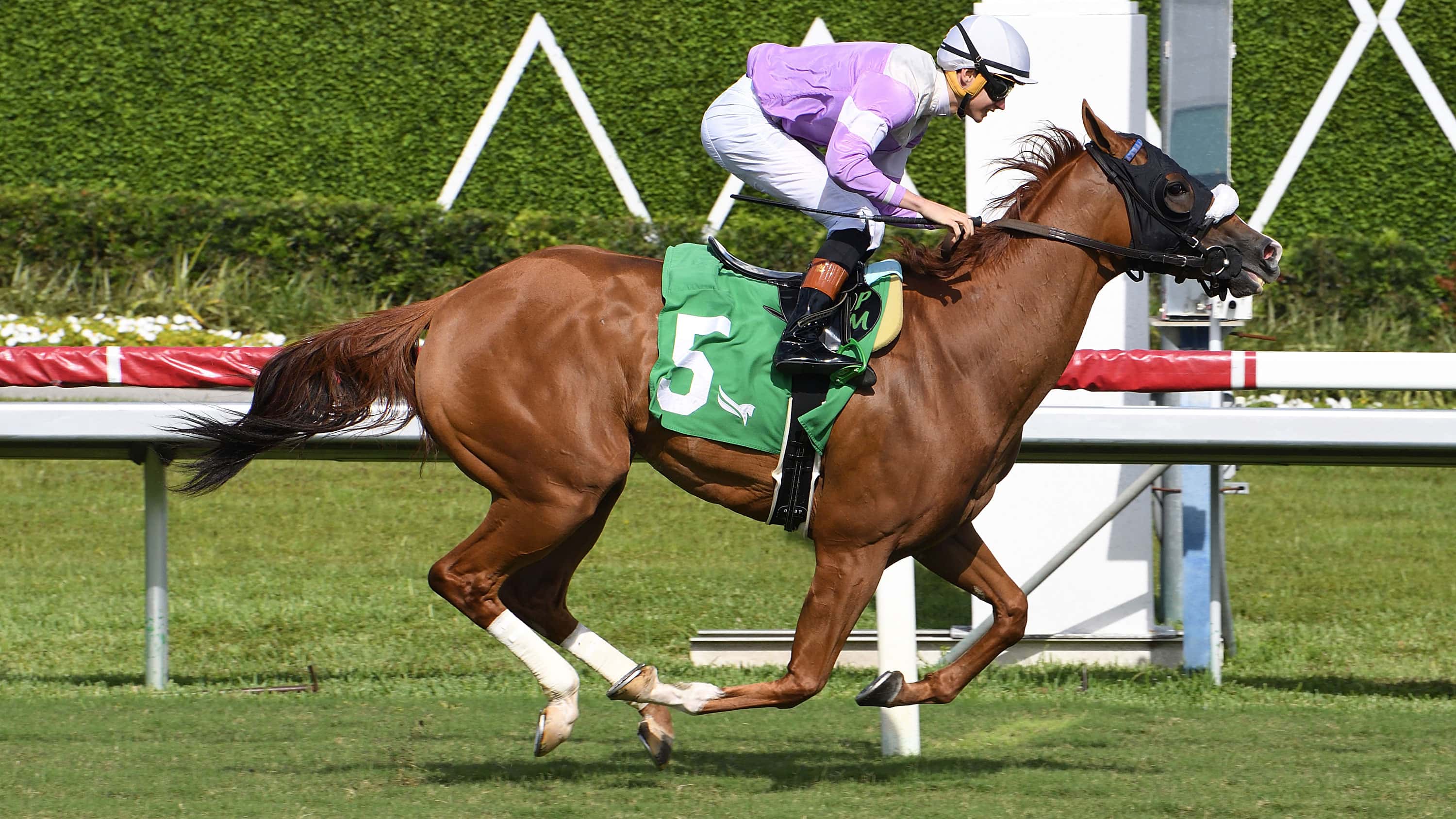 Miss Vyvyanne Rolls to Victory in Golden Beach Handicap