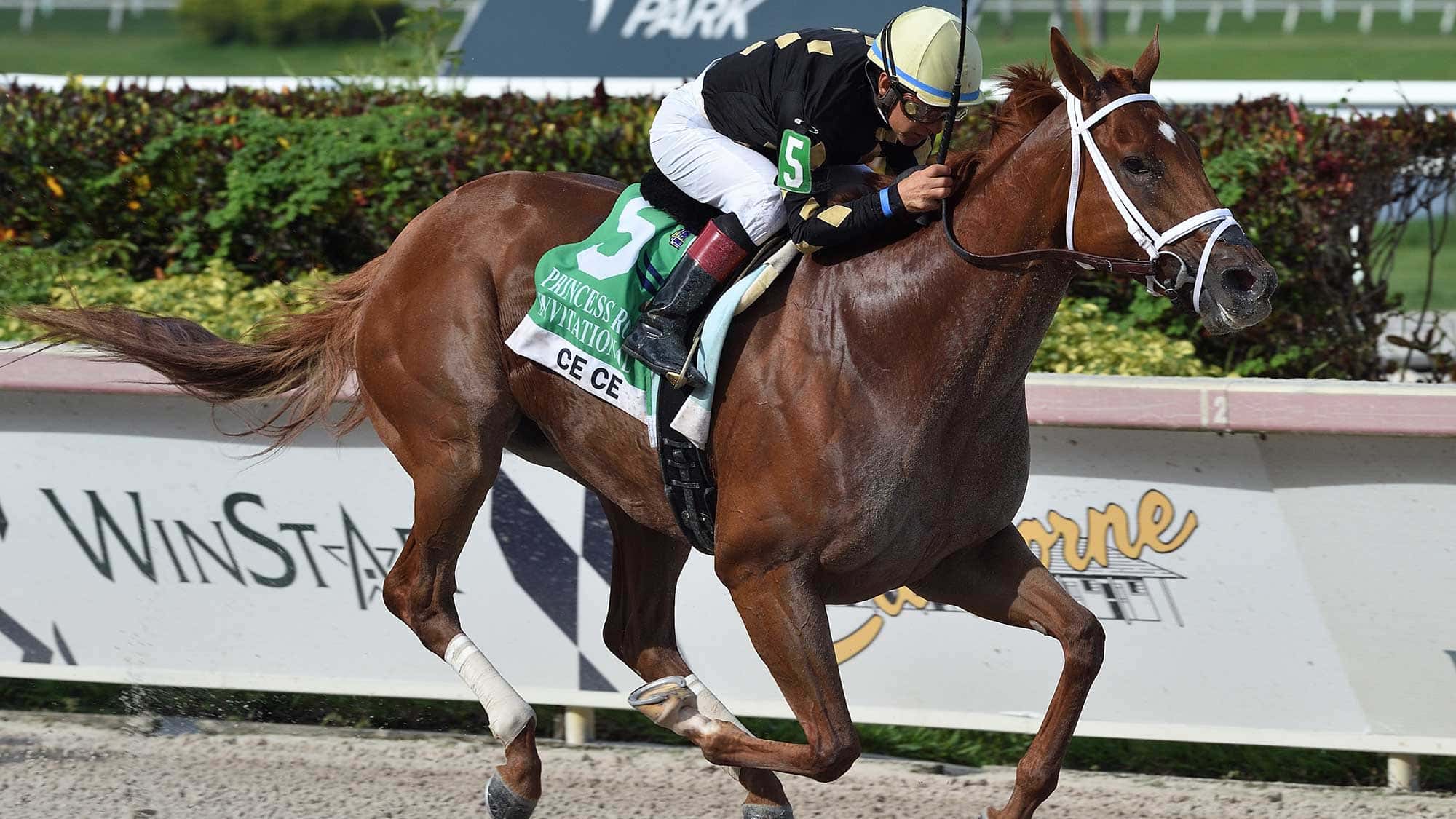 Ce-Ce-the-Princess-Rooney3