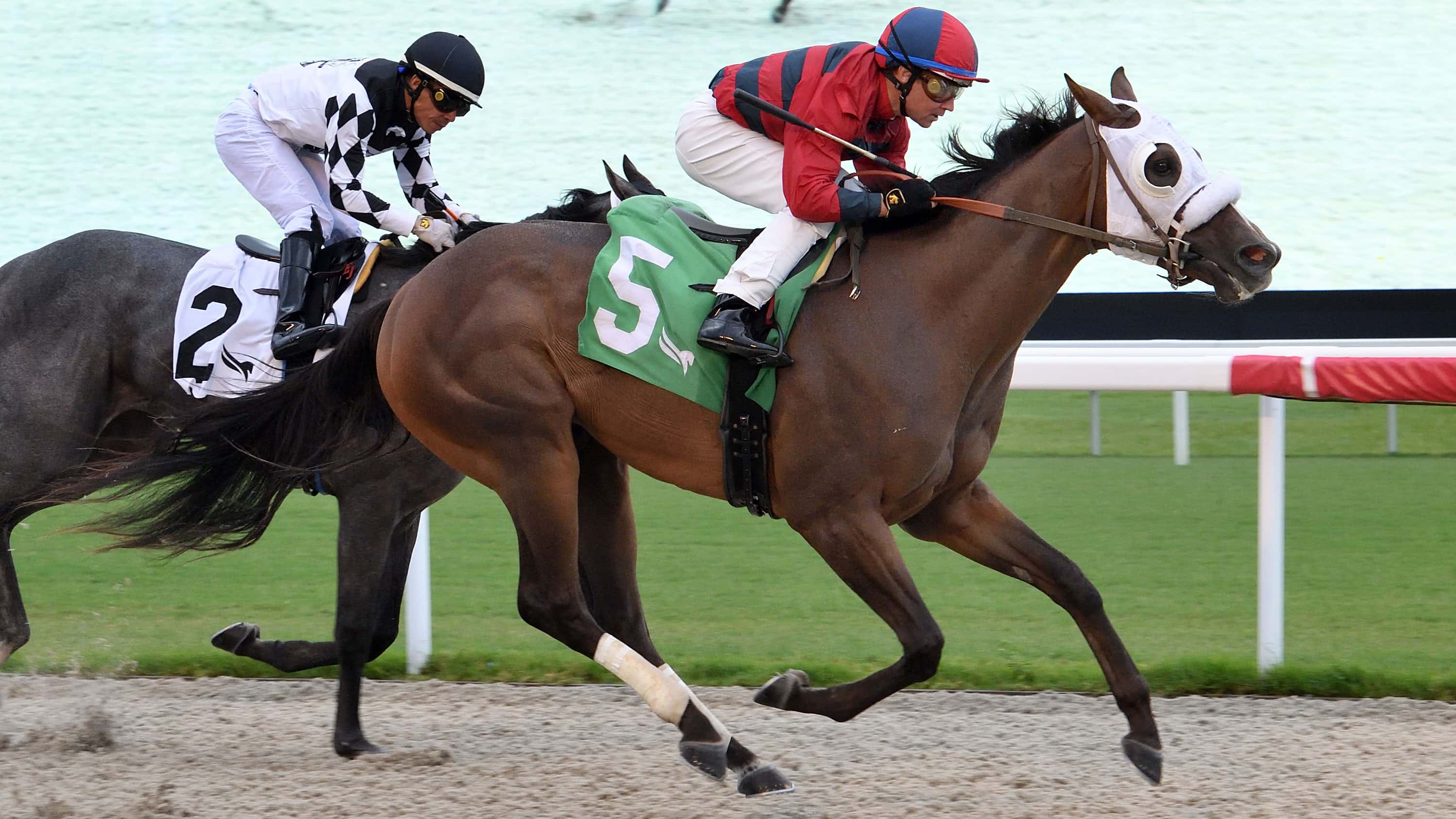 Undefeated Most Handsome Set for Dirt Debut in Juvenile Sprint