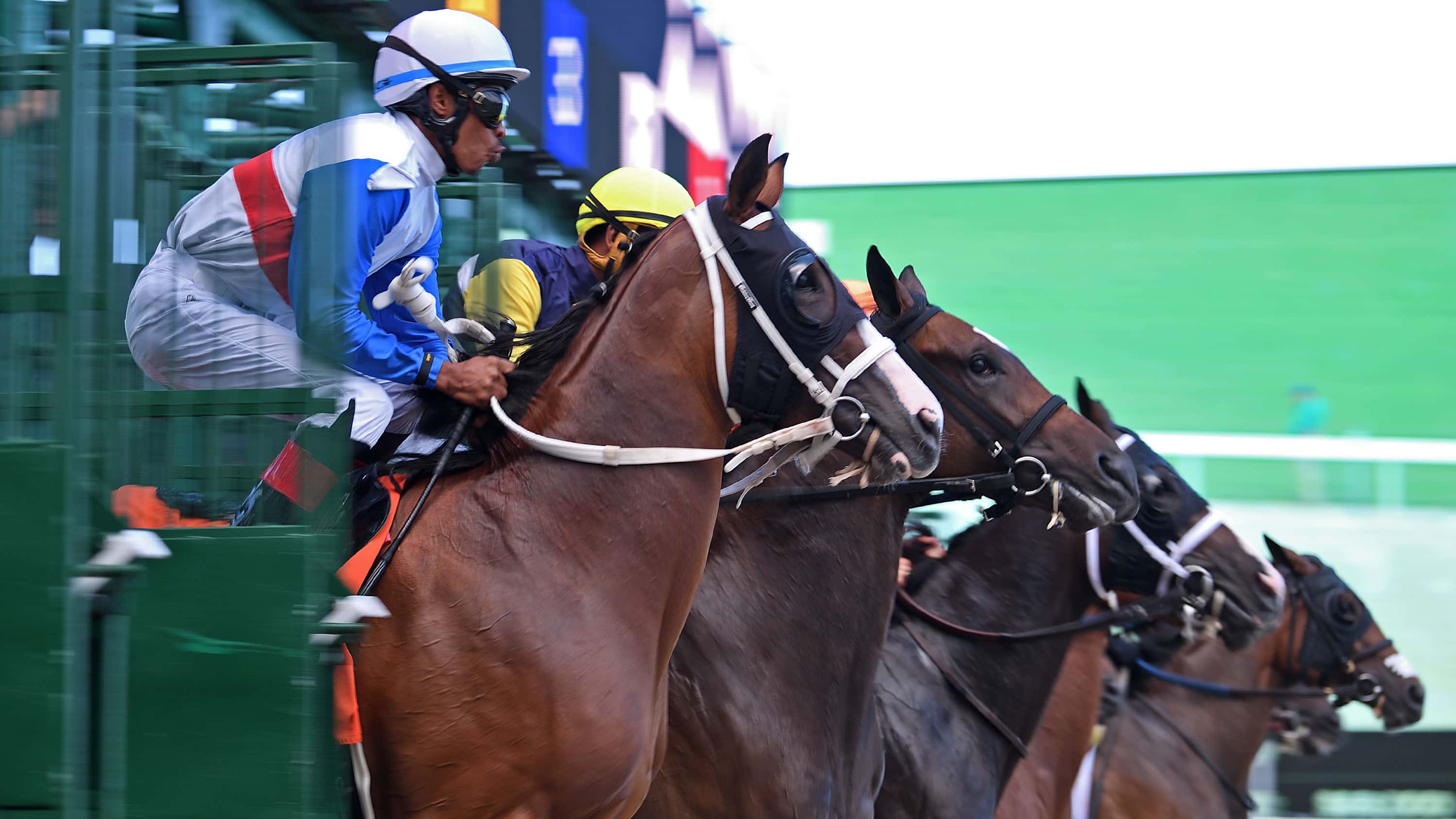 Gulfstream Returns Friday with Coast-to-Coast and Sunset Six