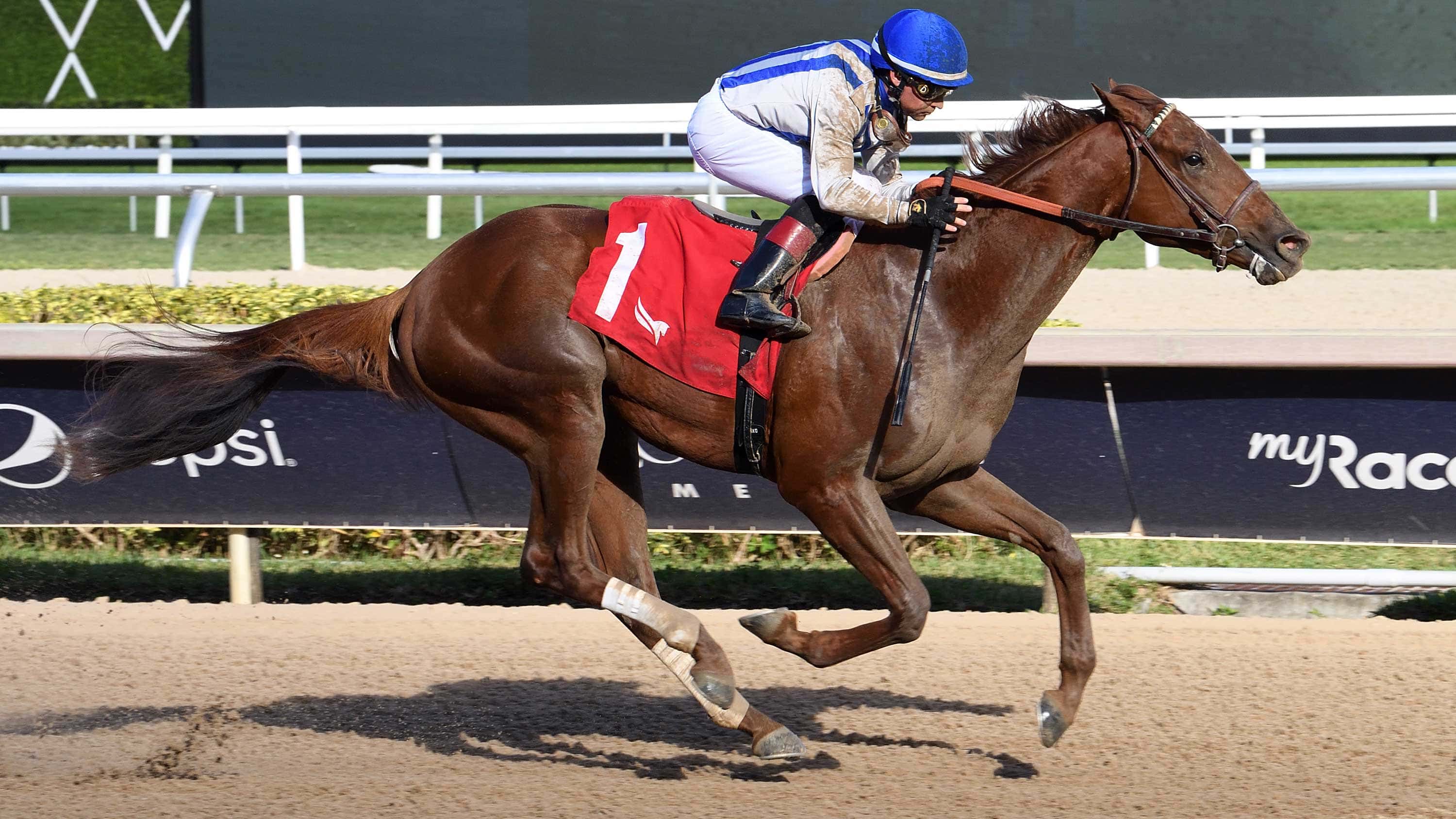 Multiverse Shoots for the Stars in Hutcheson at Gulfstream