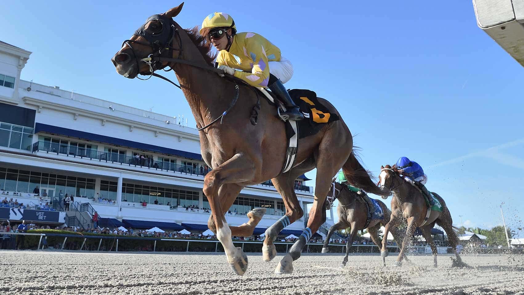 Infinite Diamond the Cash Run