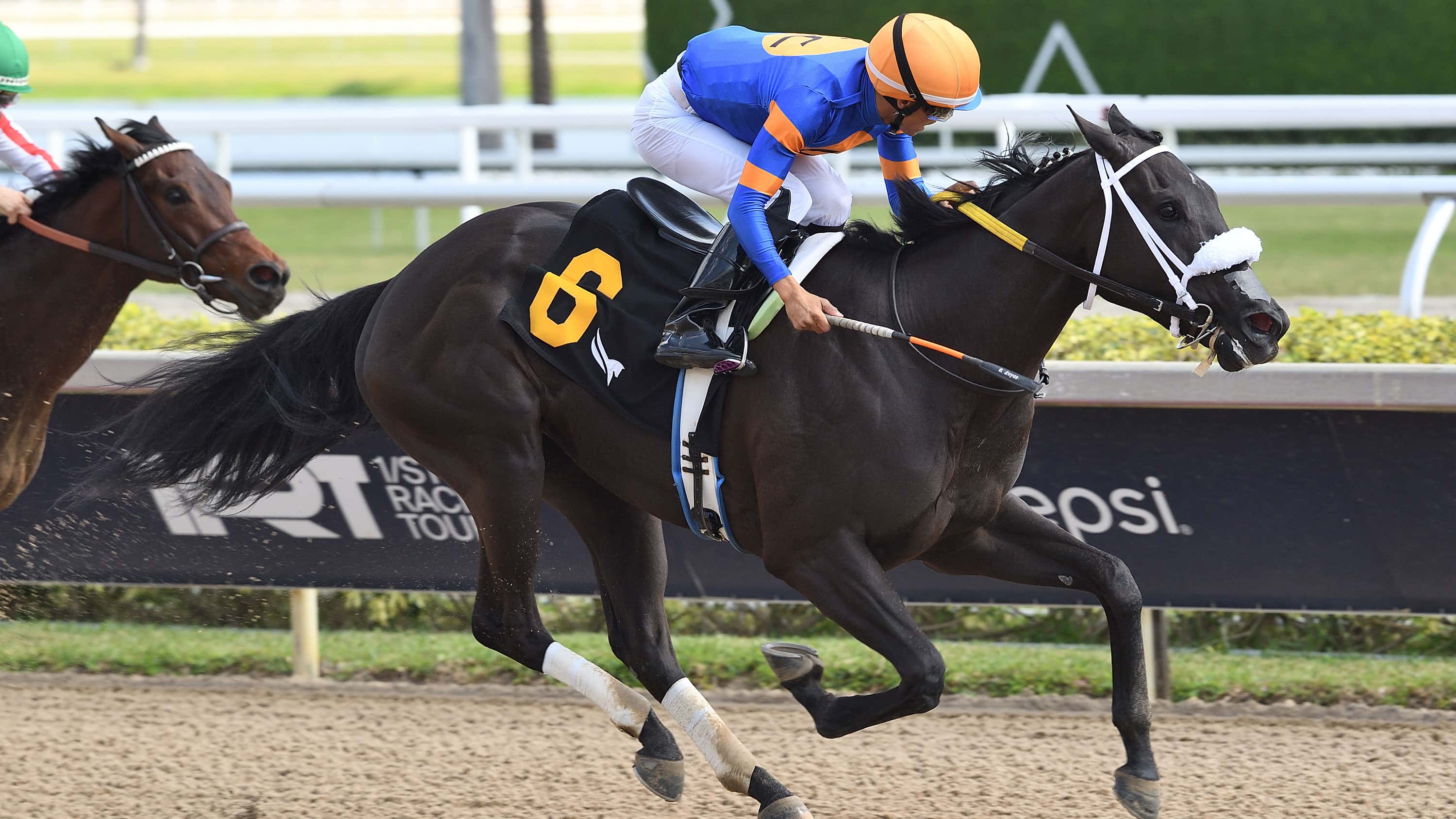 Class Edge for G2 Winner Indy Bay in $100,000 Musical Romance