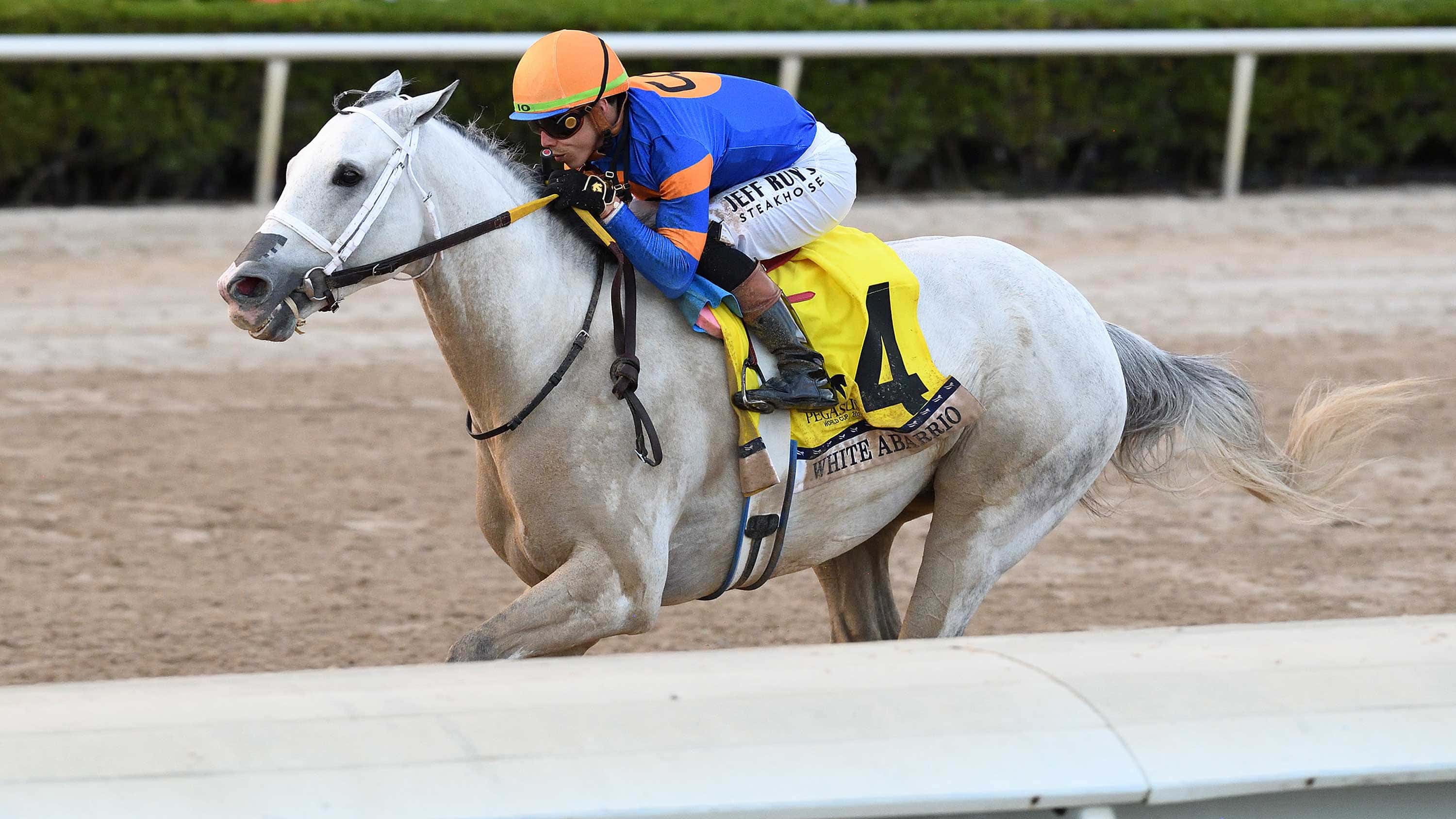 White Abarrio Puts in ‘Strong Work’ for BC Dirt Mile