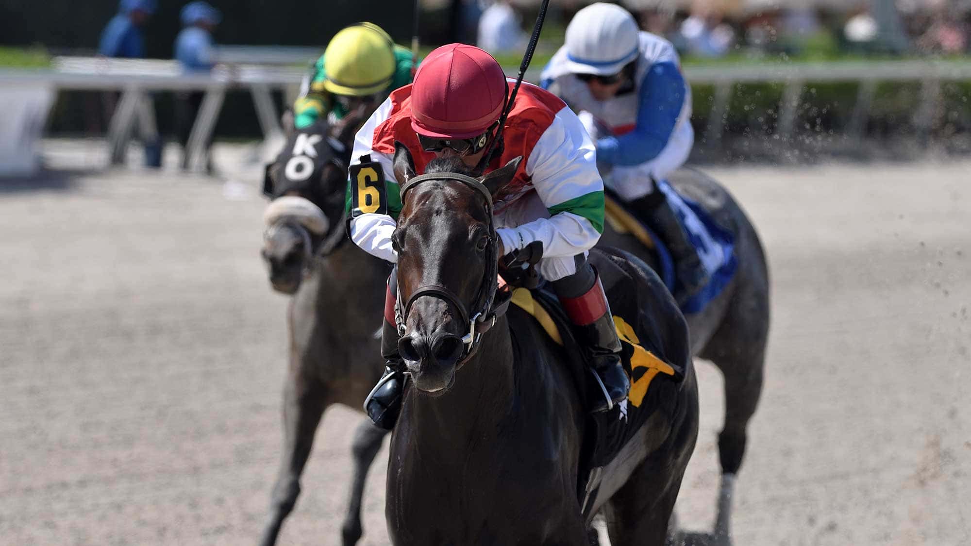 Last-Leaf-the-Game-Face